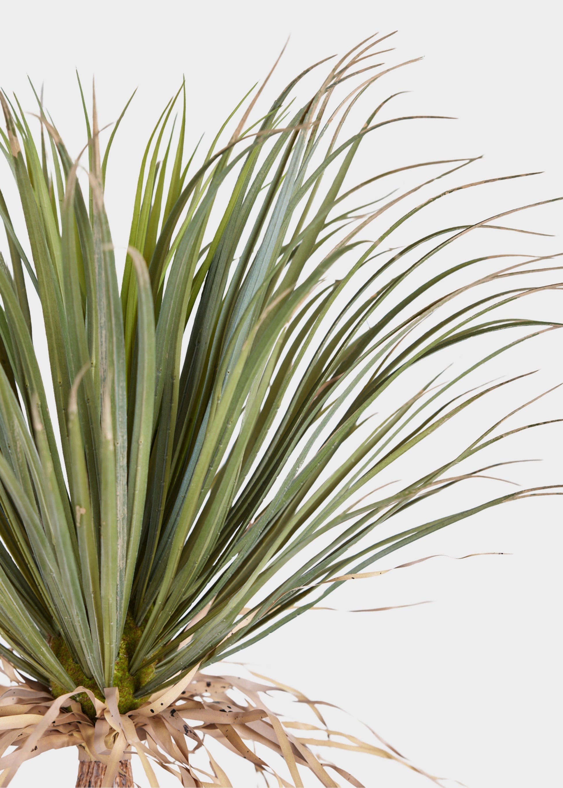 Fake Potted Plants Palm Tree in Cement Pot