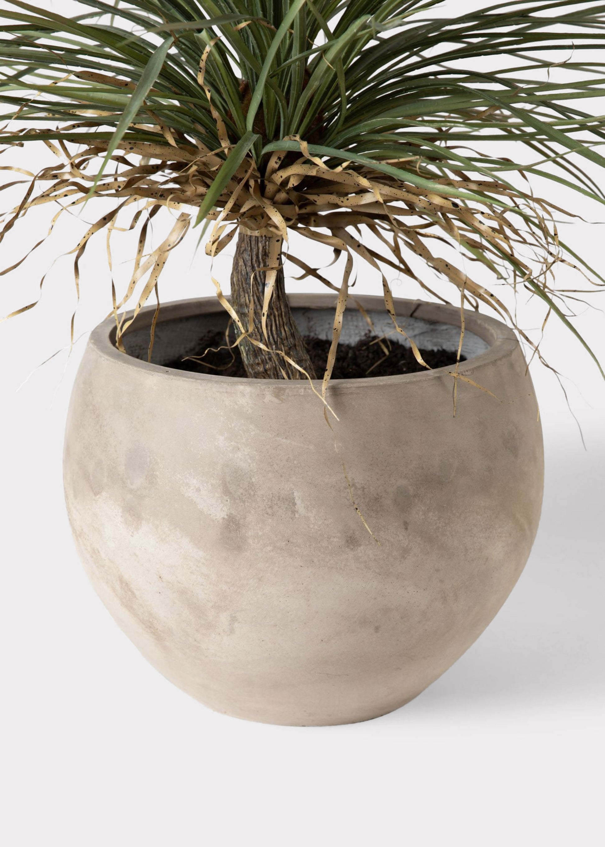 palm tree planter pot 39.5" Silk Desert Palm Tree w/Cement Planter -Green