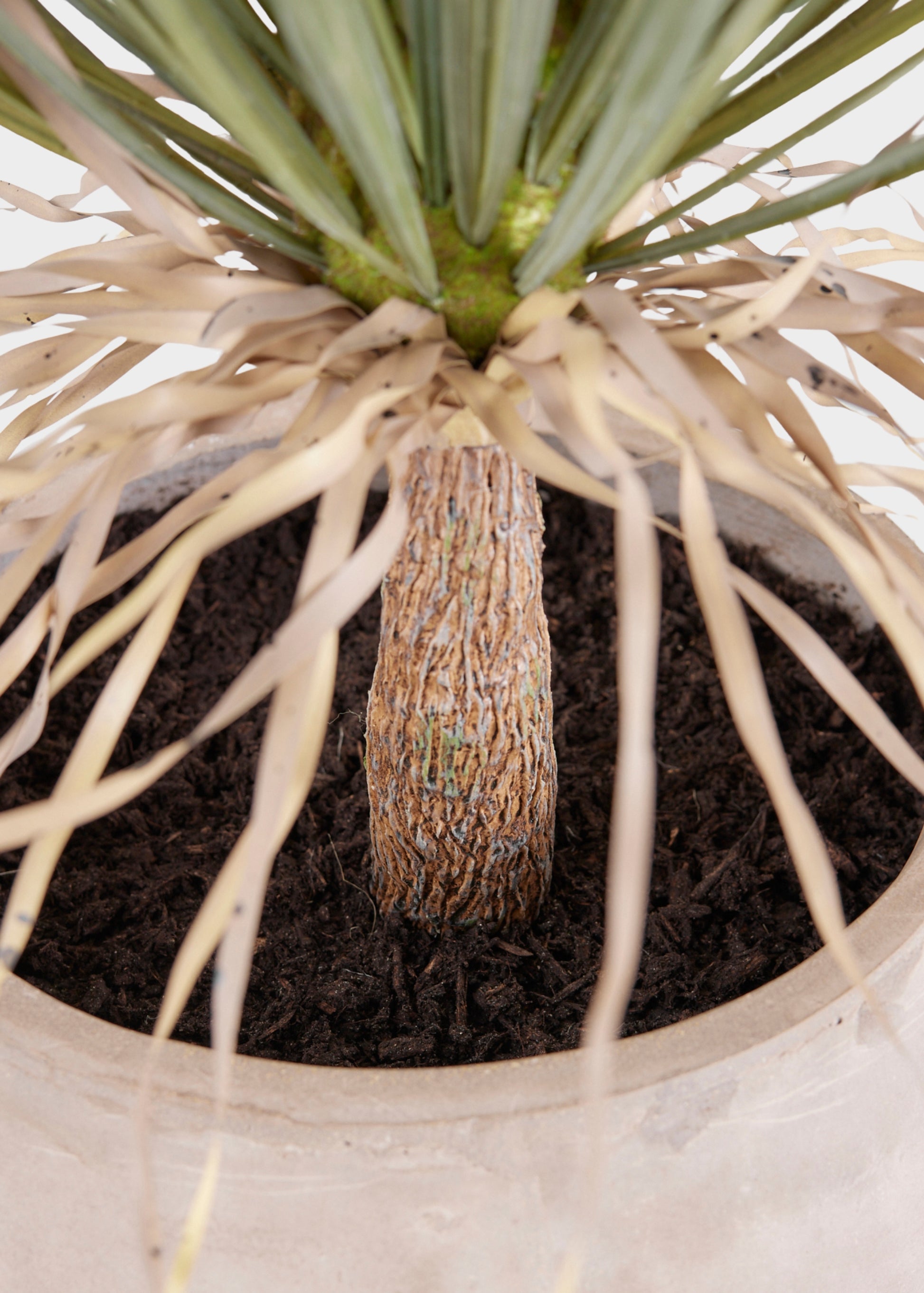 Closeup View of Soil of Faux Palm Plant in Cement Pot at Afloral