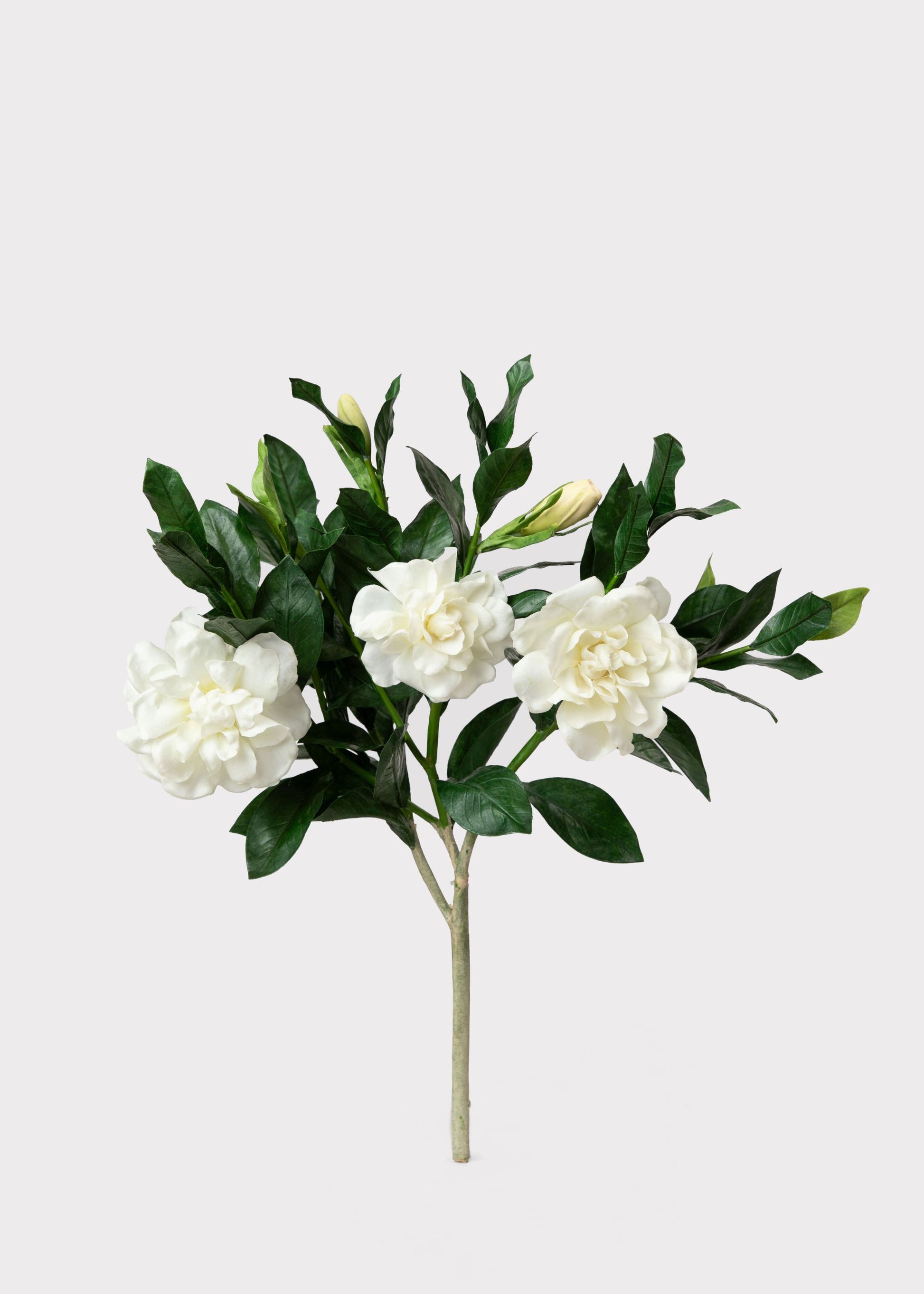 Artificial Gardenia Bush