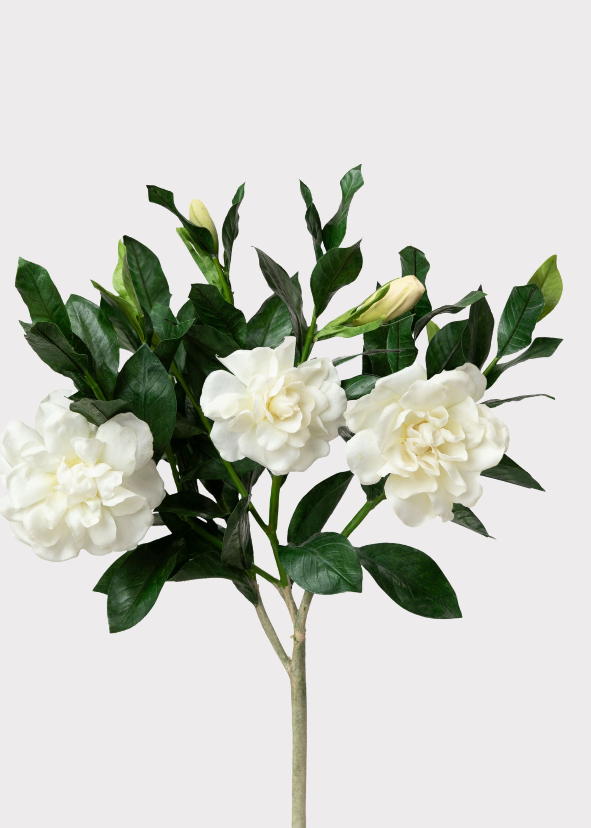 Deluxe Cream Artificial Gardenia Flower Branch