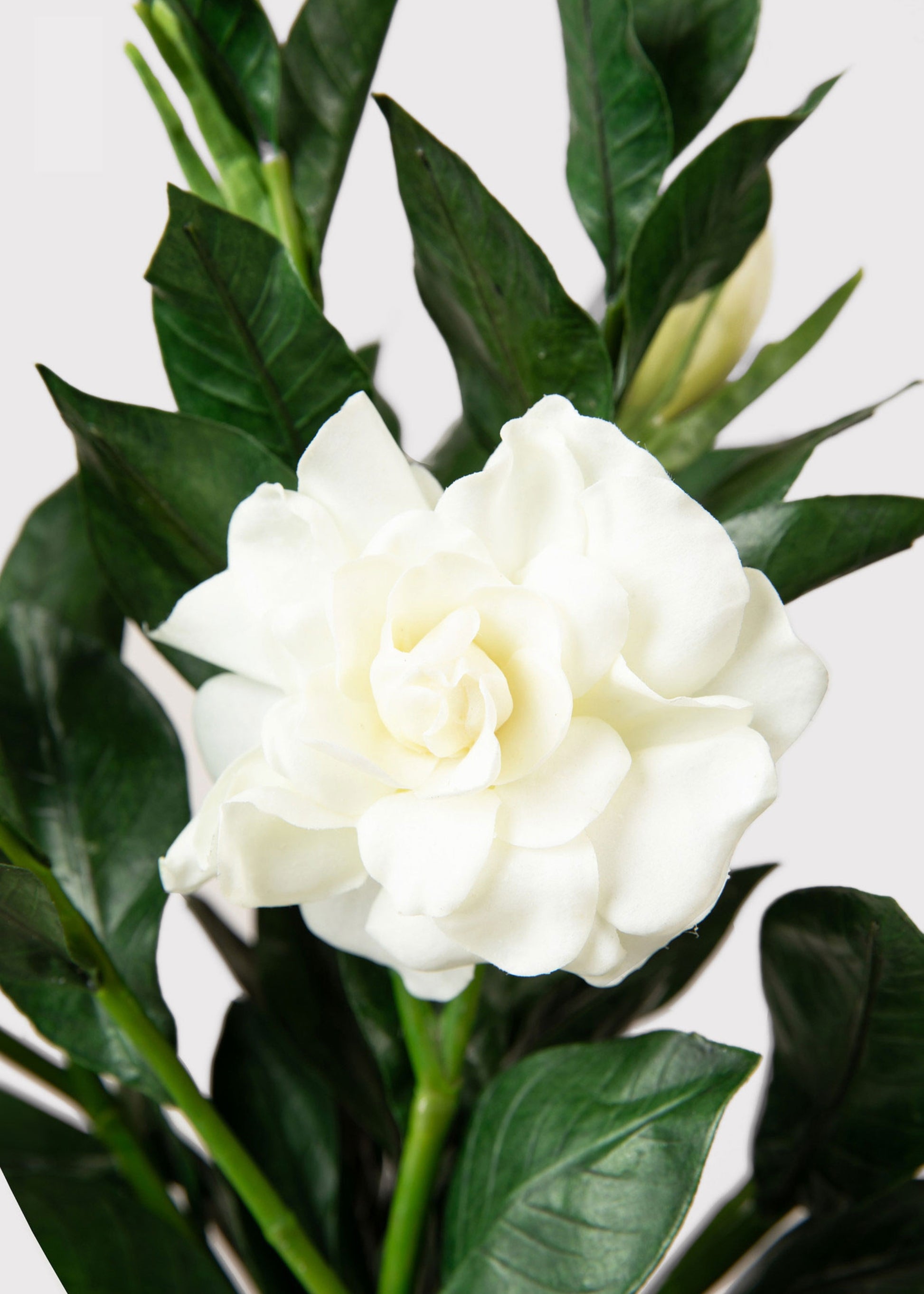 Faux Gardenia Flower