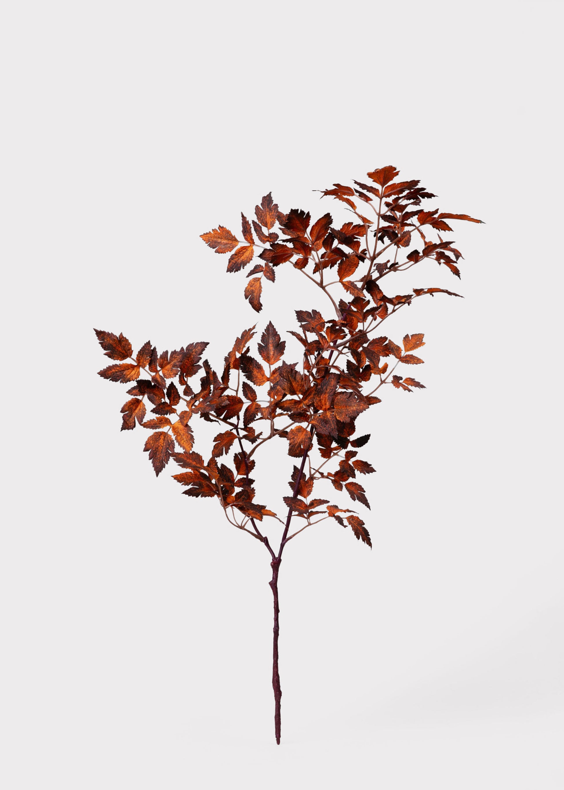 Afloral Faux Cimicifuga Leaf Spray in Brown 