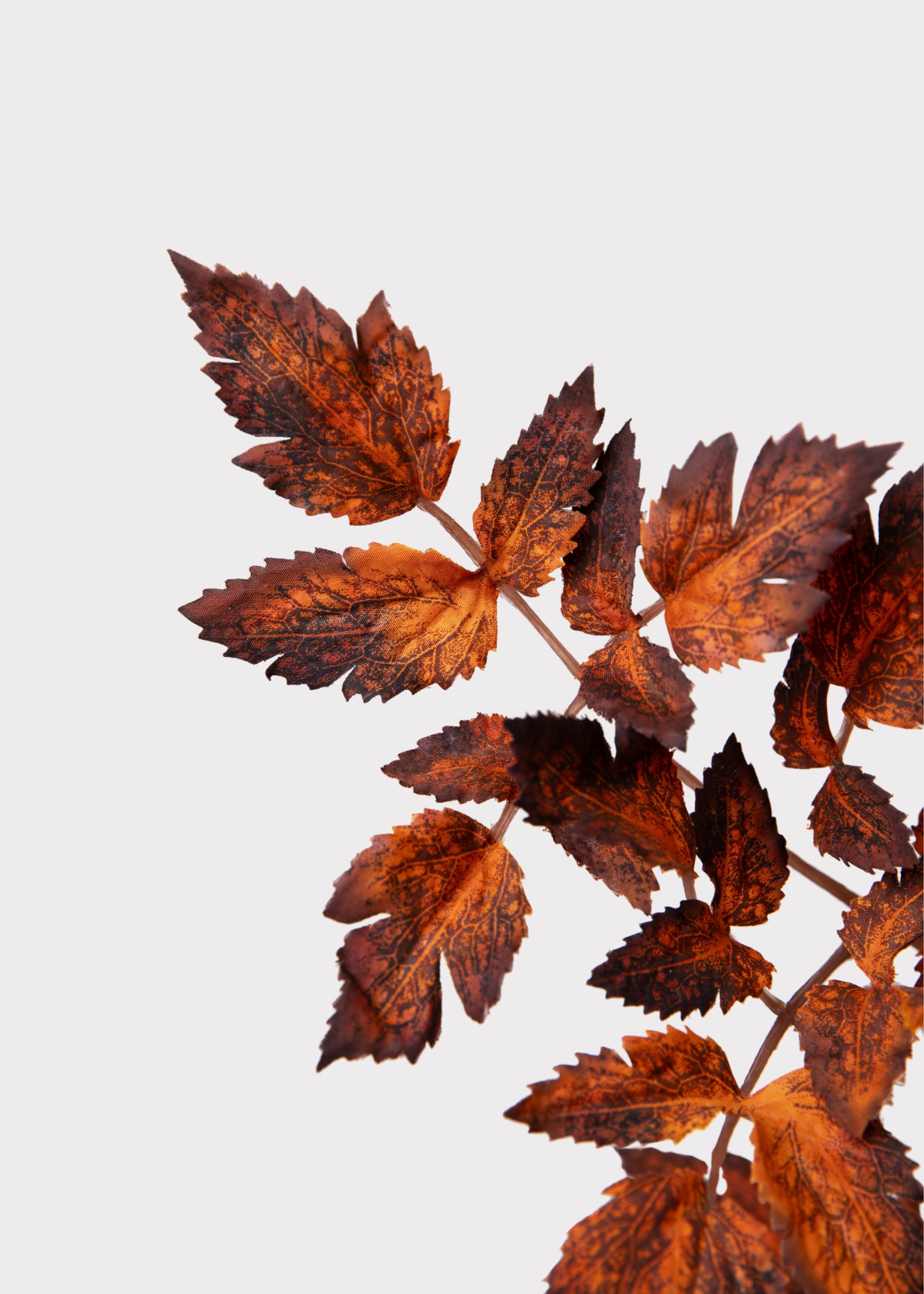Faux Brown Cimicifuga Spray | Artificial Fall Leaves | Afloral