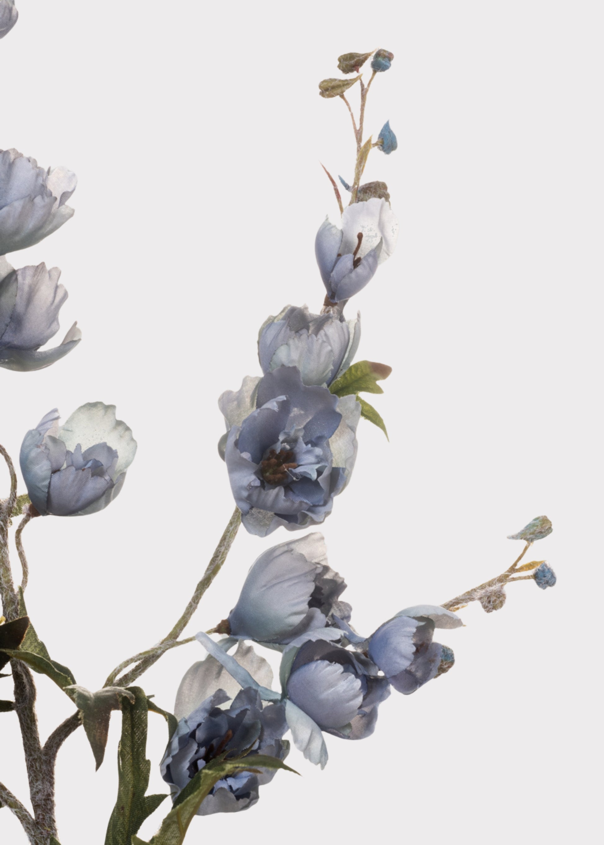 Close-up of Artificial Delphinium Blossoms
