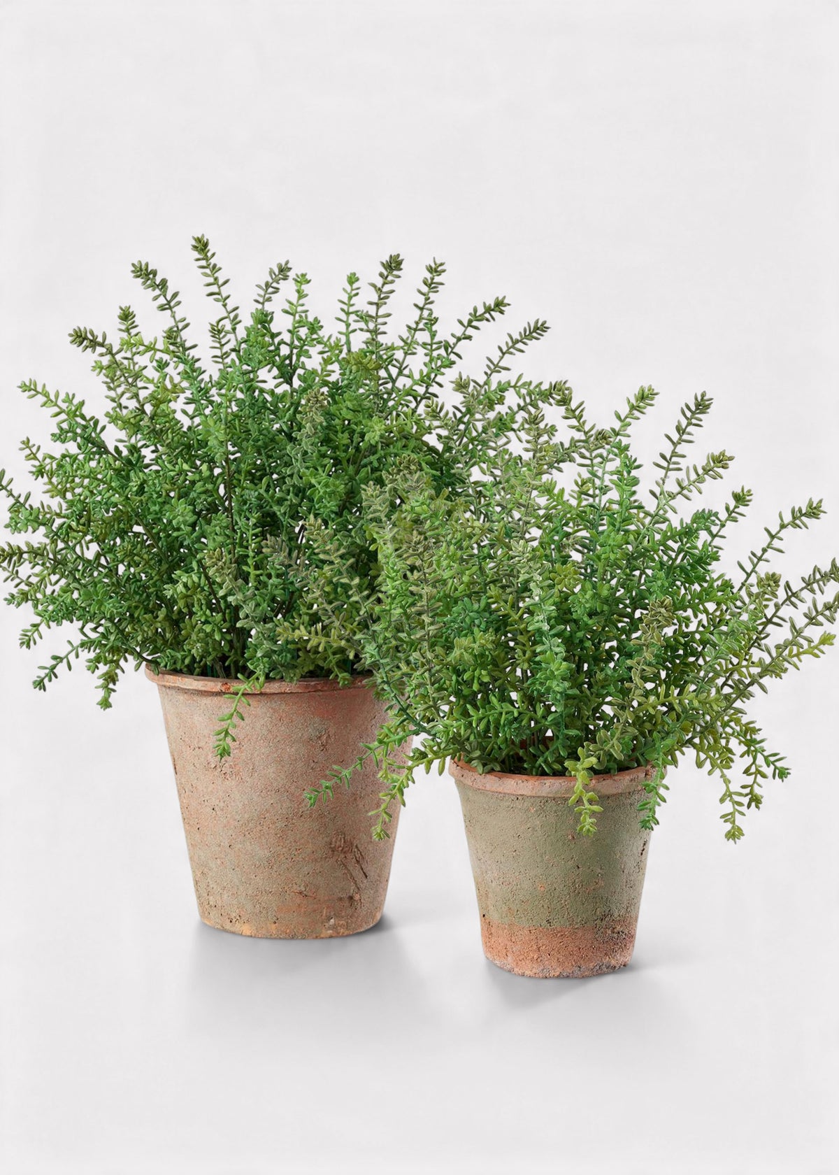 Artificial Sedum Plants