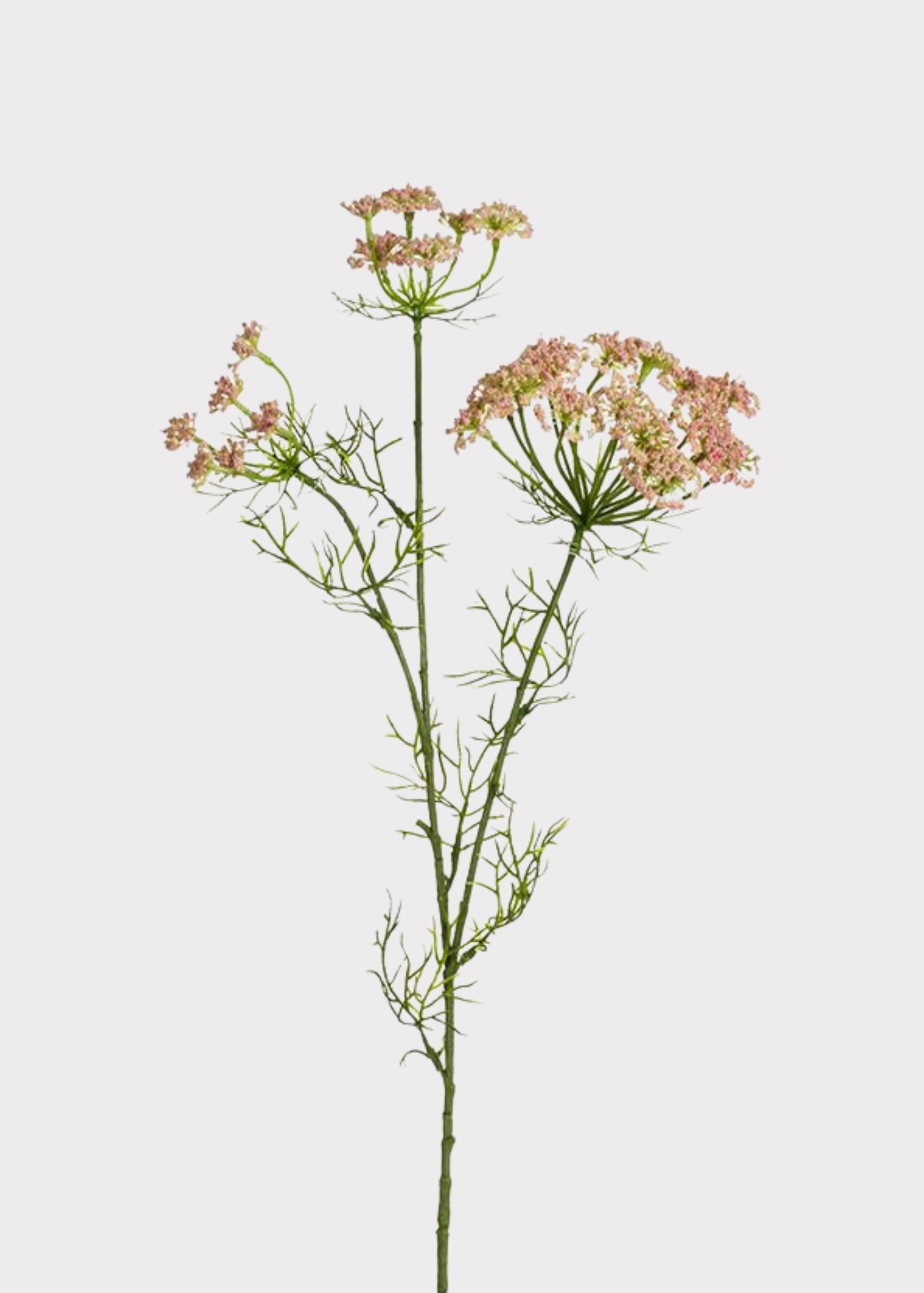 Fake Dill Branch in Pink