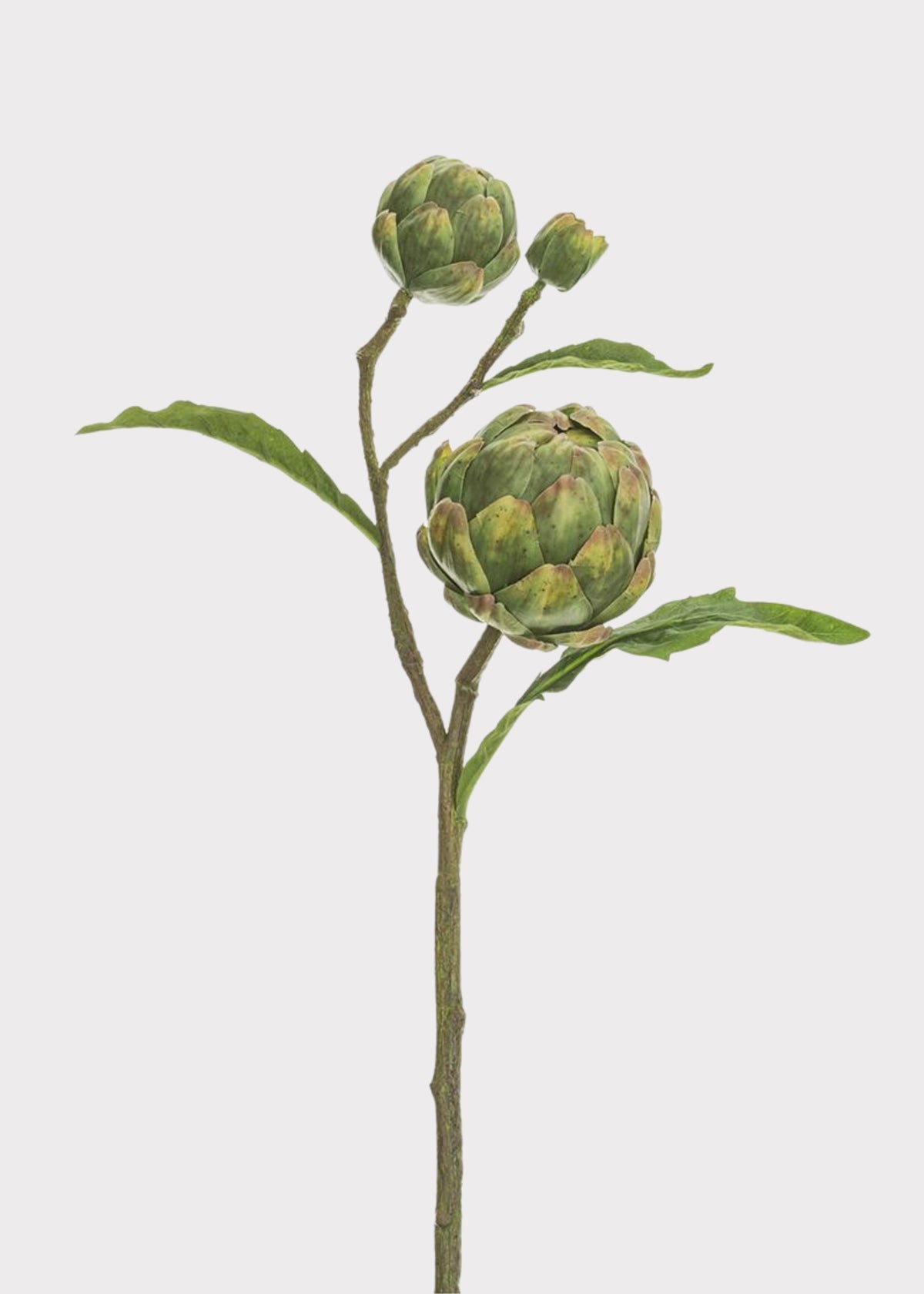 Green Artificial Artichoke Fruit Pod Stem