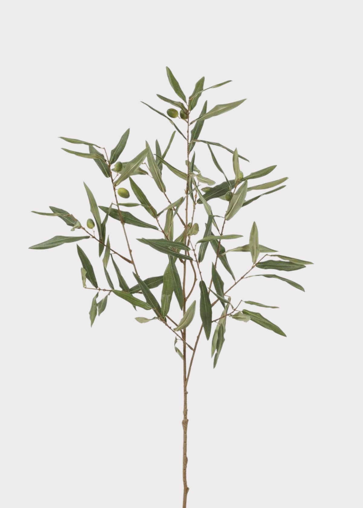 Fake Olive Leaf Foliage Branch
