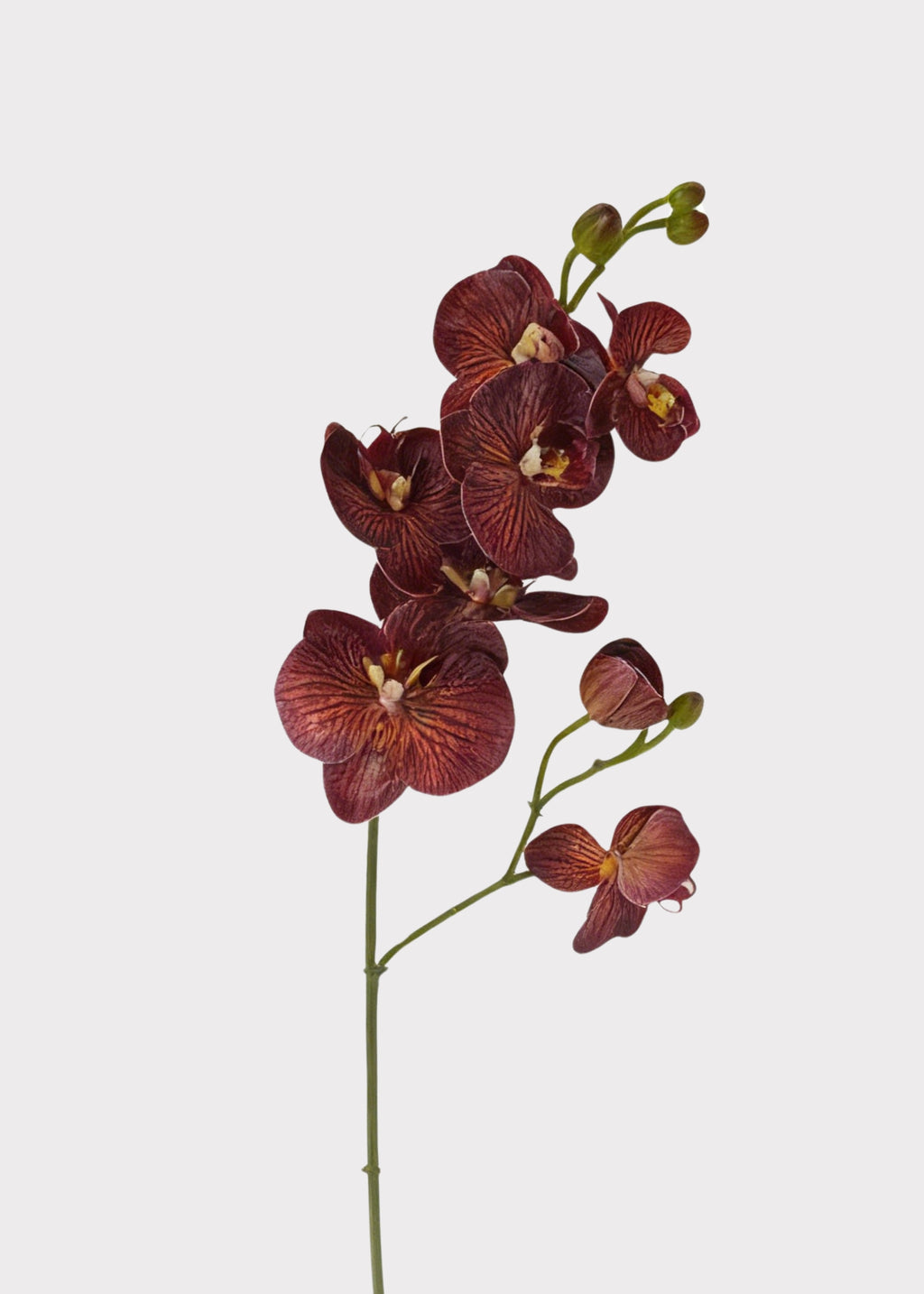 Artificial Autumn Brown Phalaenopsis Orchid 