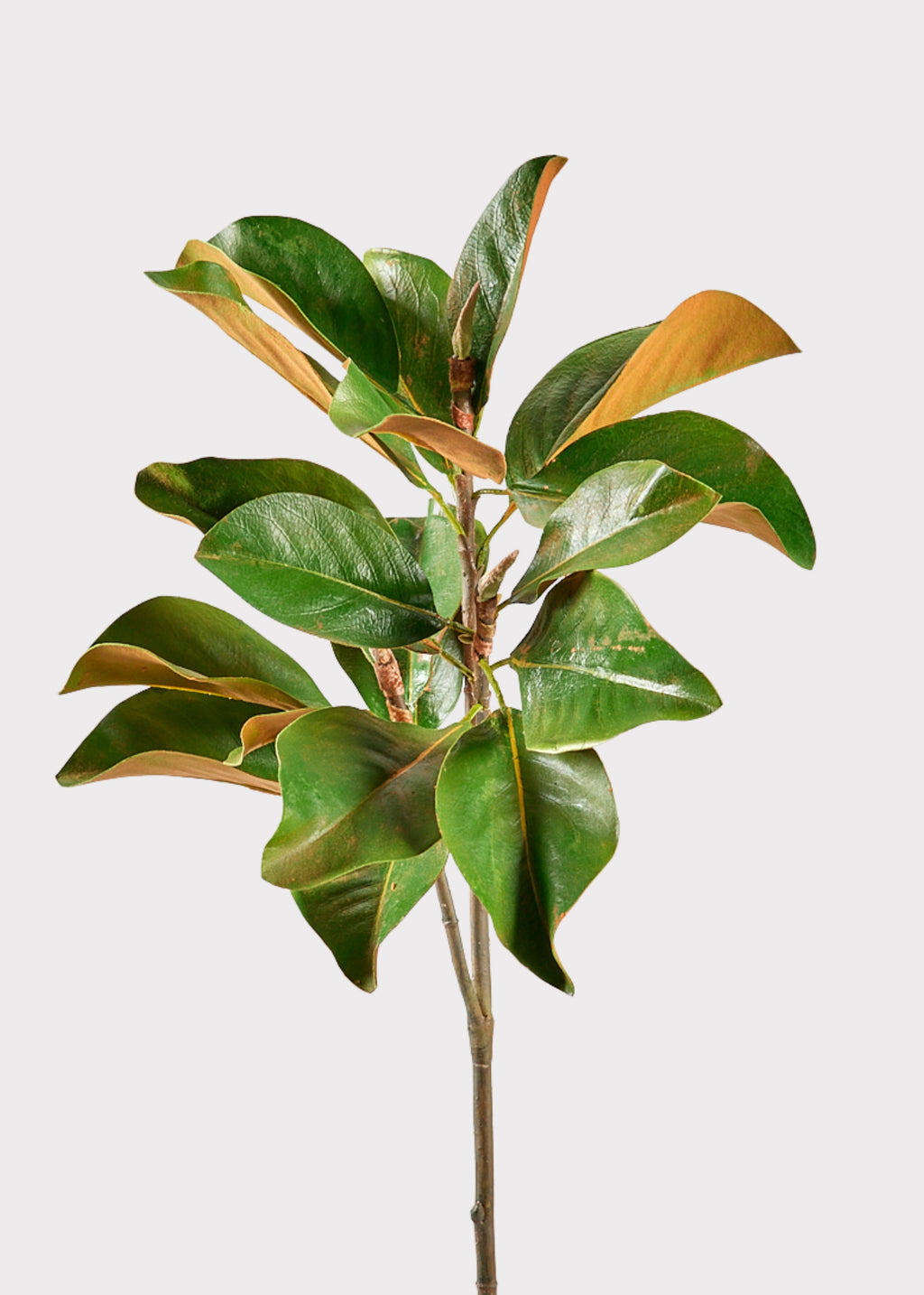 Afloral Artificial Branches Tall Green Faux Magnolia Branch