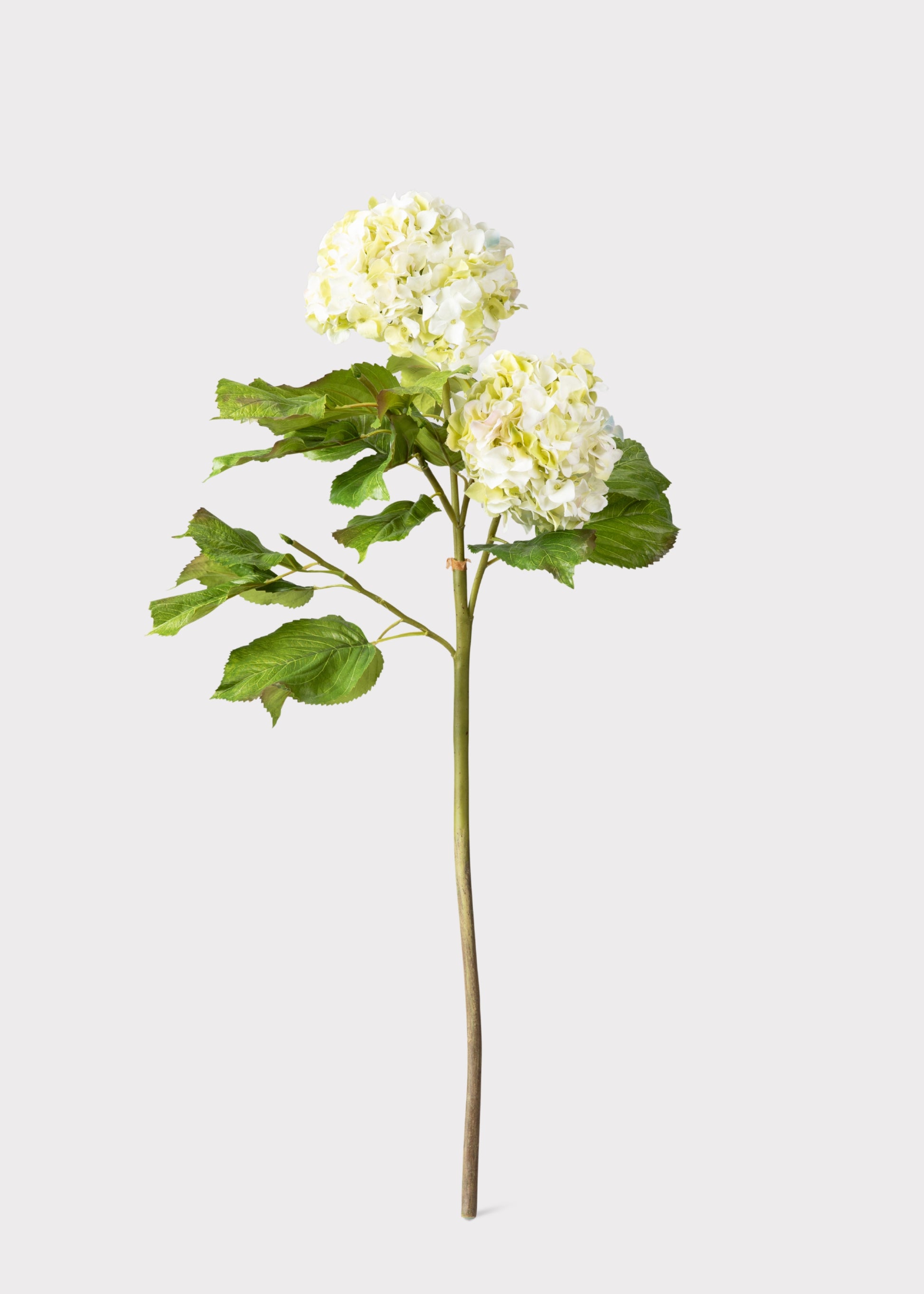 Cream Green Faux Hydrangea Branch
