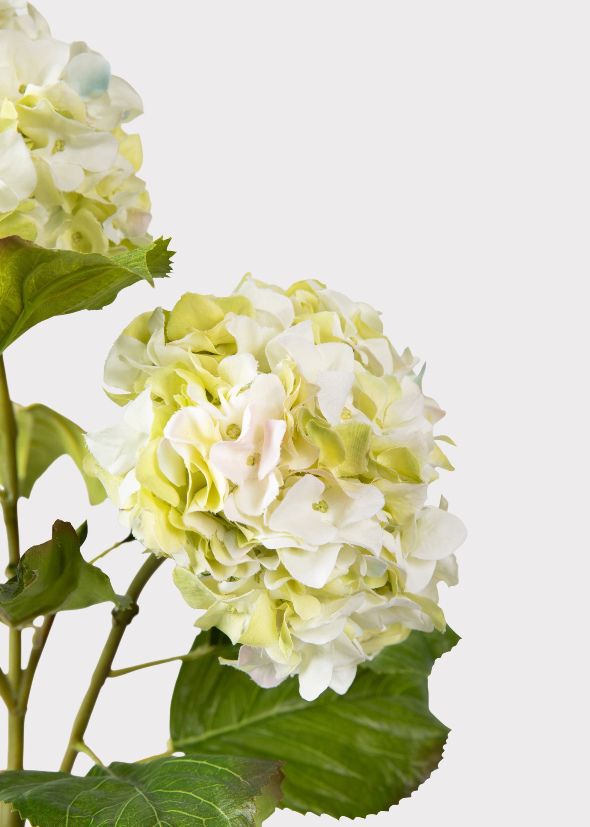 Cream Green Hydrangea Branch | Artificial Flowers at Afloral