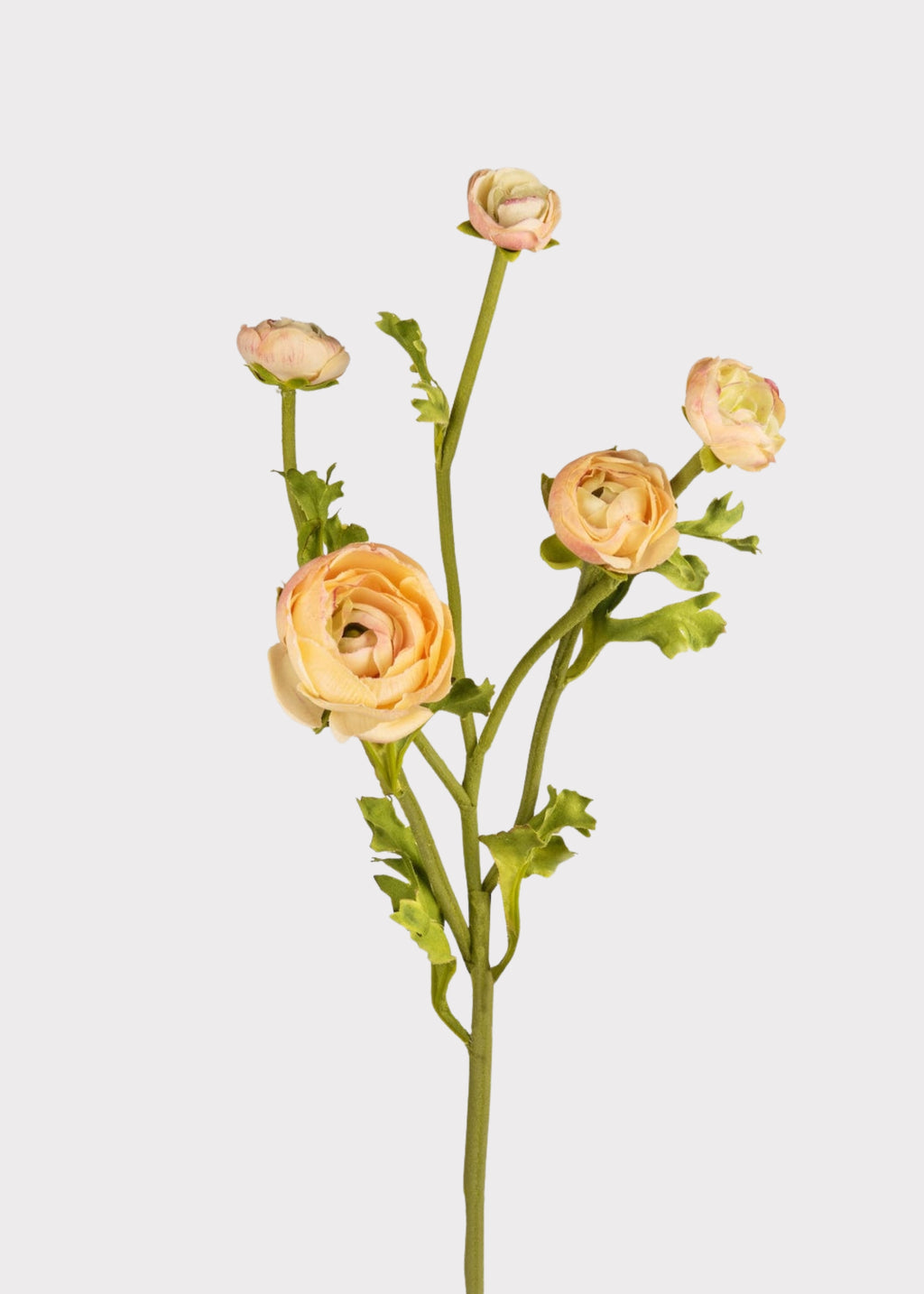 Faux Flowers Real Touch Ranunculus in Peach at Afloral