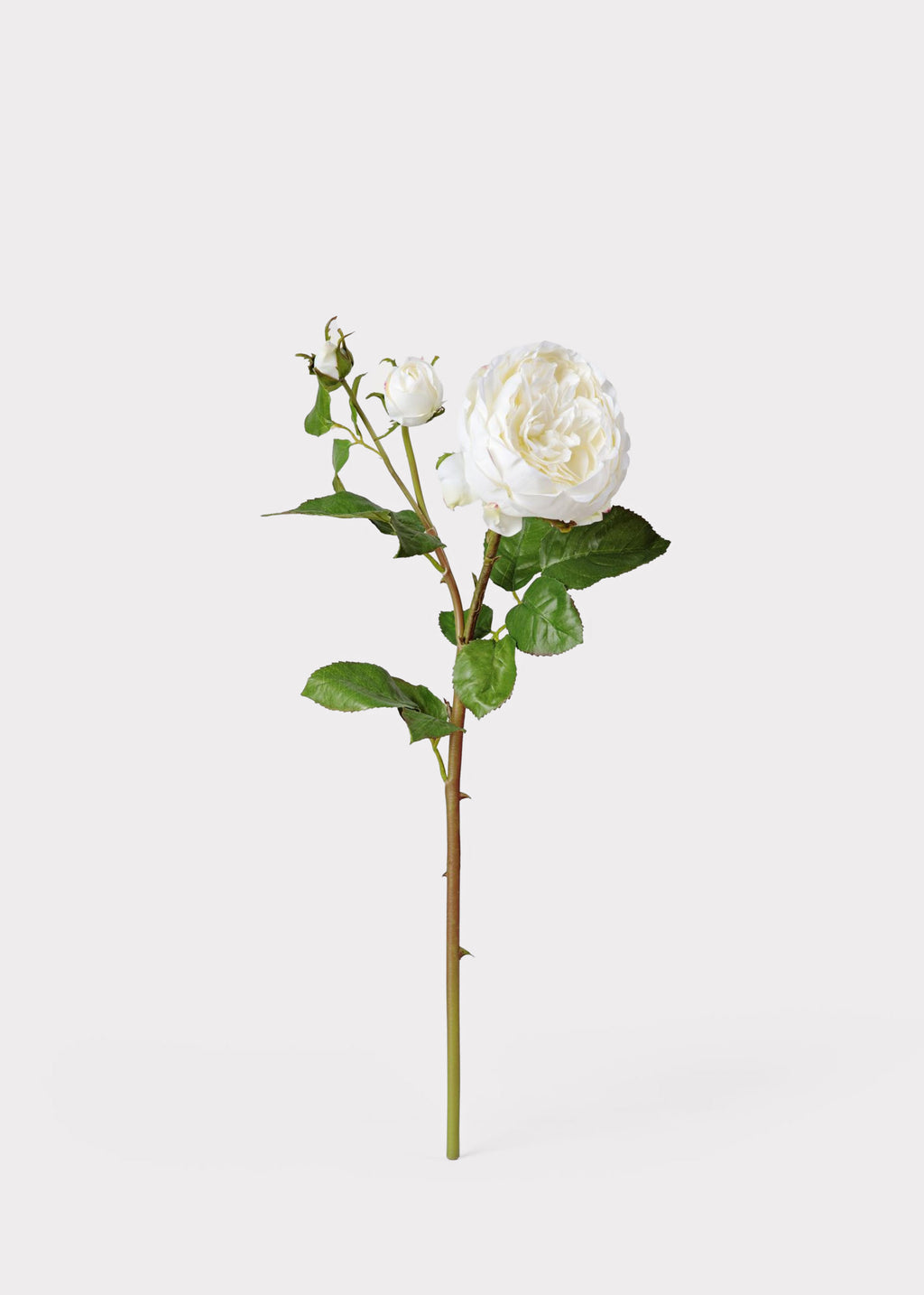 Luxe Faux Flowers Real Touch Cream English Rose and Bud Stem