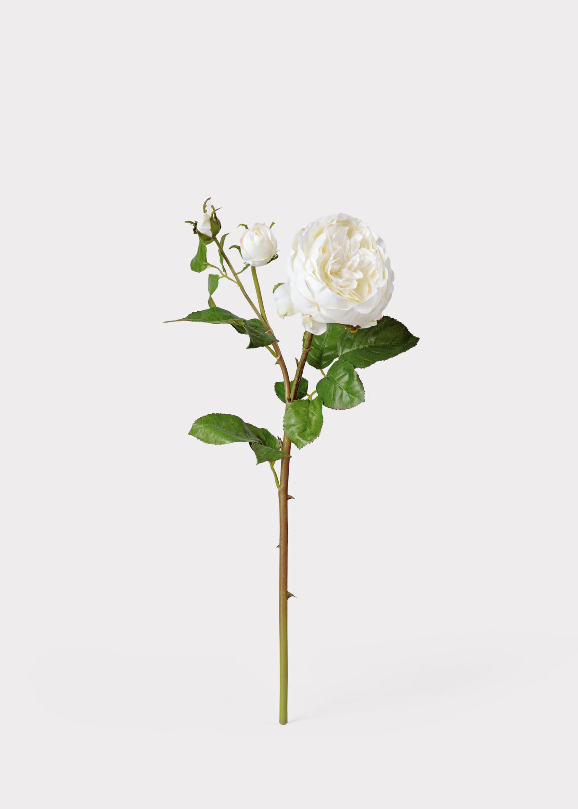 Luxe Faux Flowers Real Touch Cream English Rose and Bud Stem