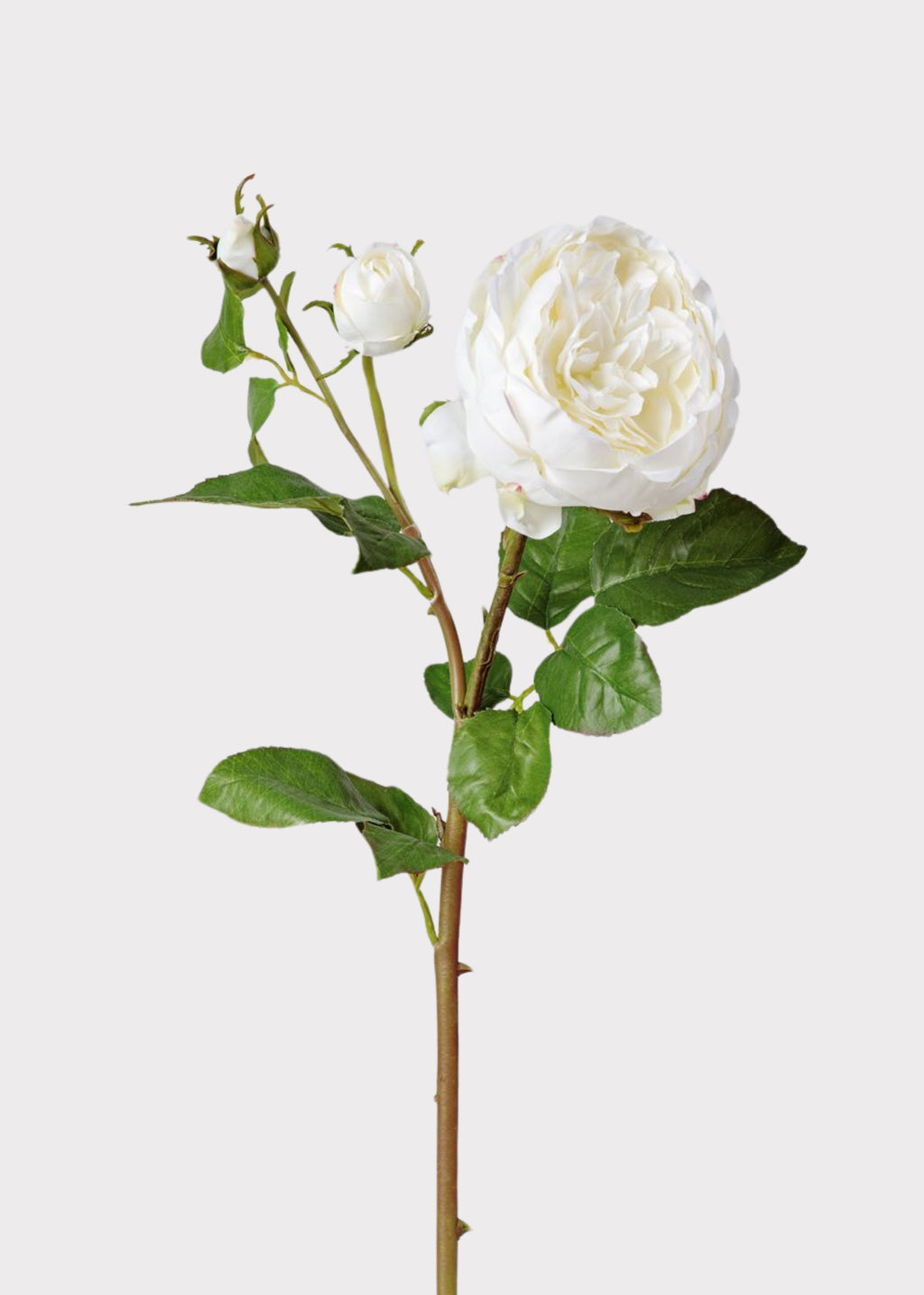 Cream White Faux Real Touch English Rose with Buds