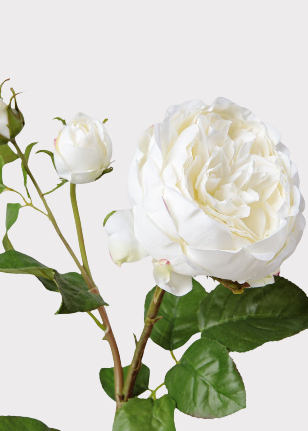 Englsih Roses Fake Real Touch Fake Flower English Rose | Fake Flowers at Afloral