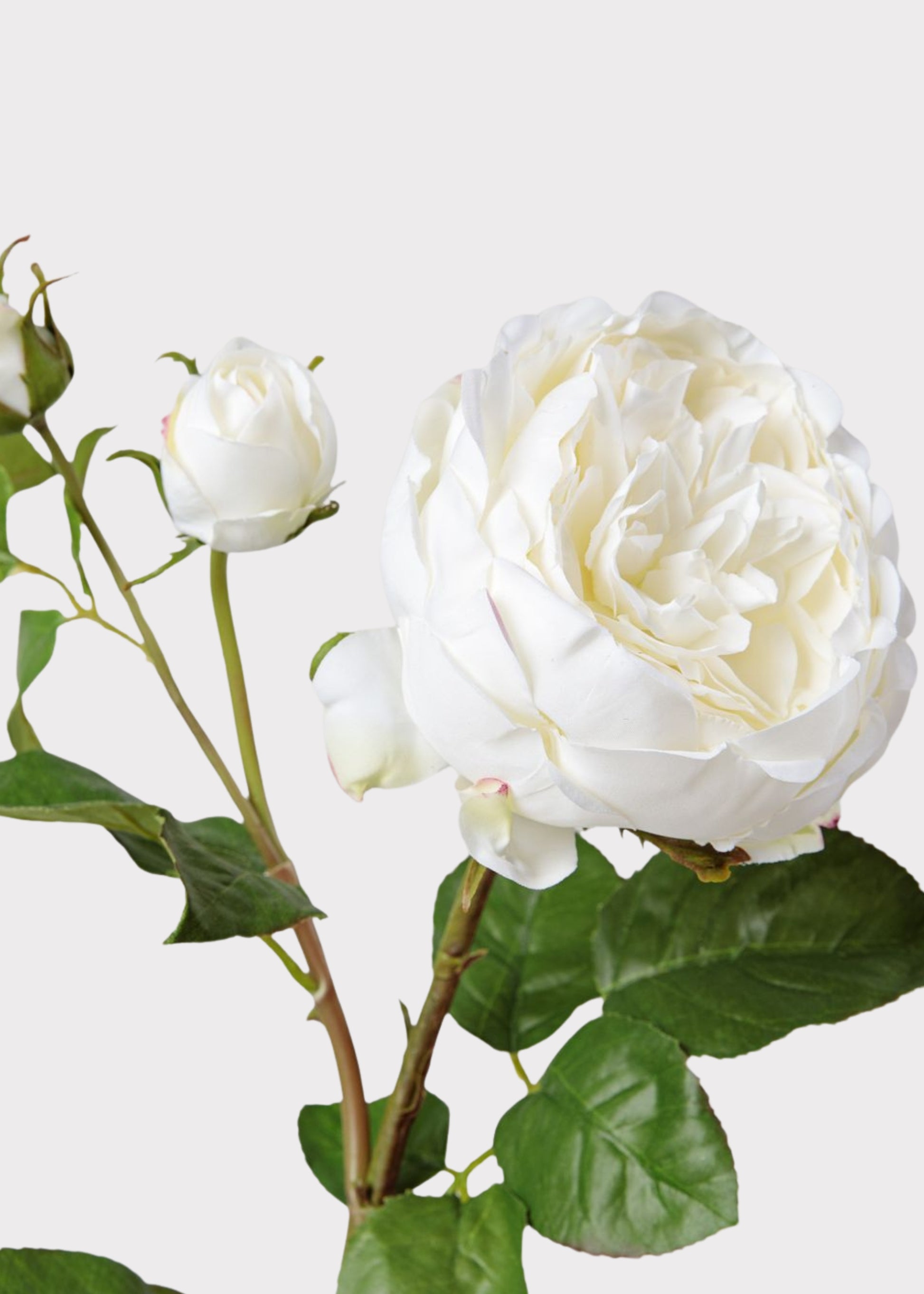 Real Touch Fake Flower English Rose with Bud - 21"