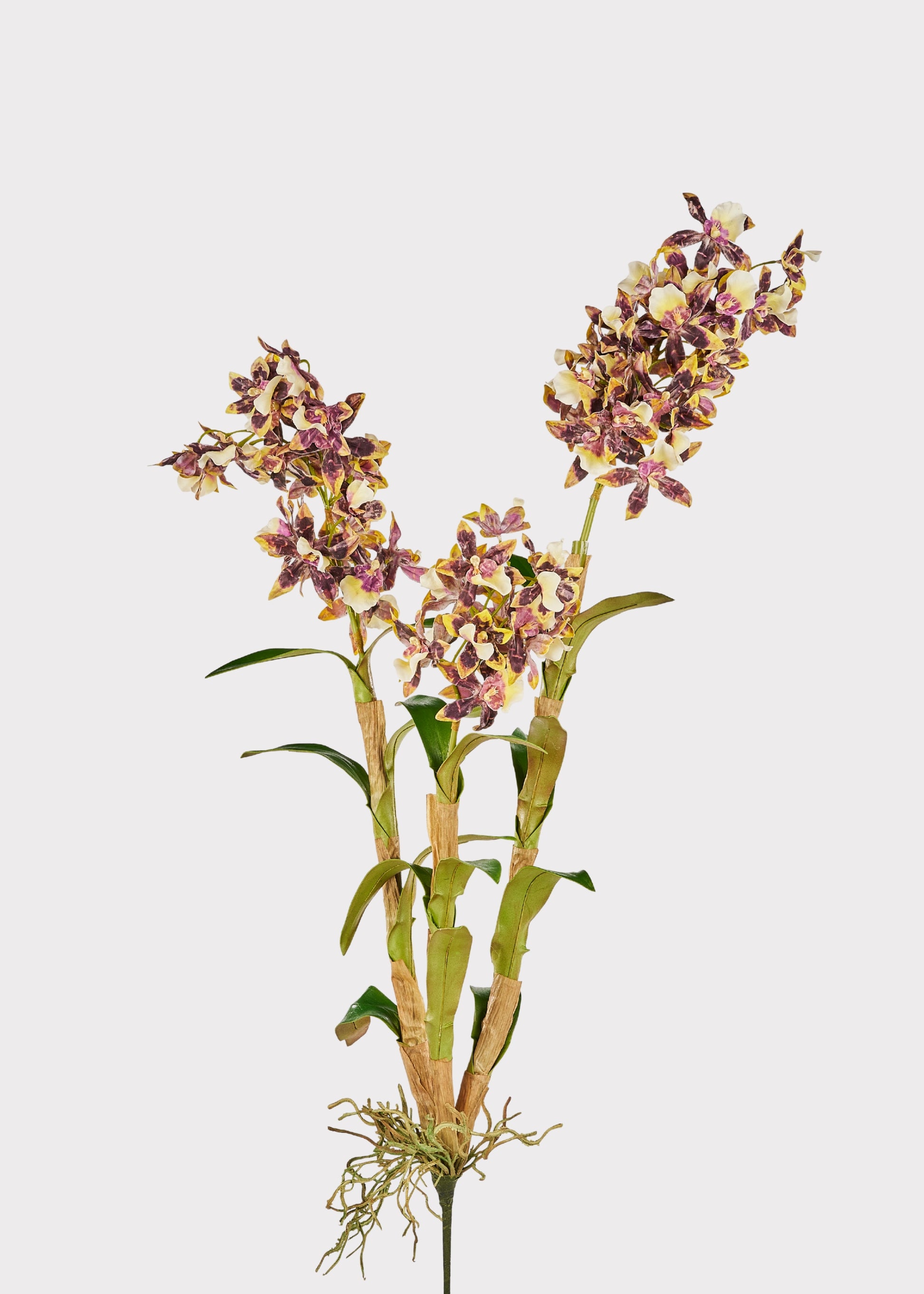 Brown and White Artificial Dendrobium Orchid Plant