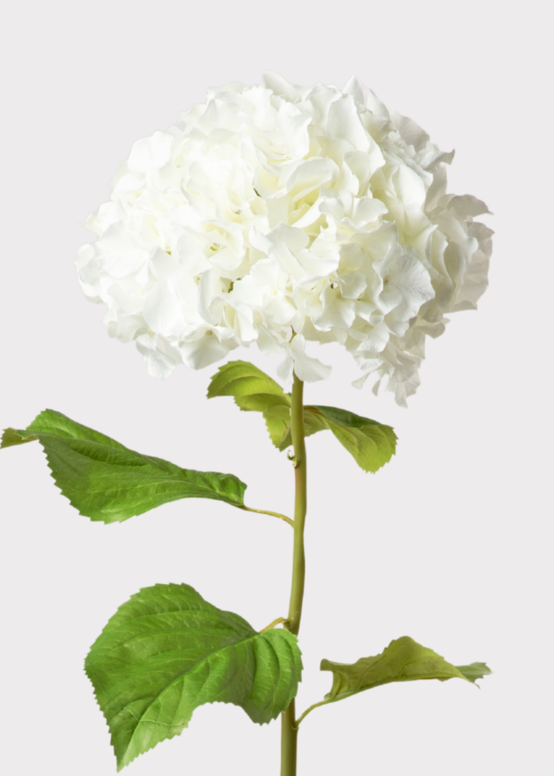 Tall White Hydrangea Faux Flower