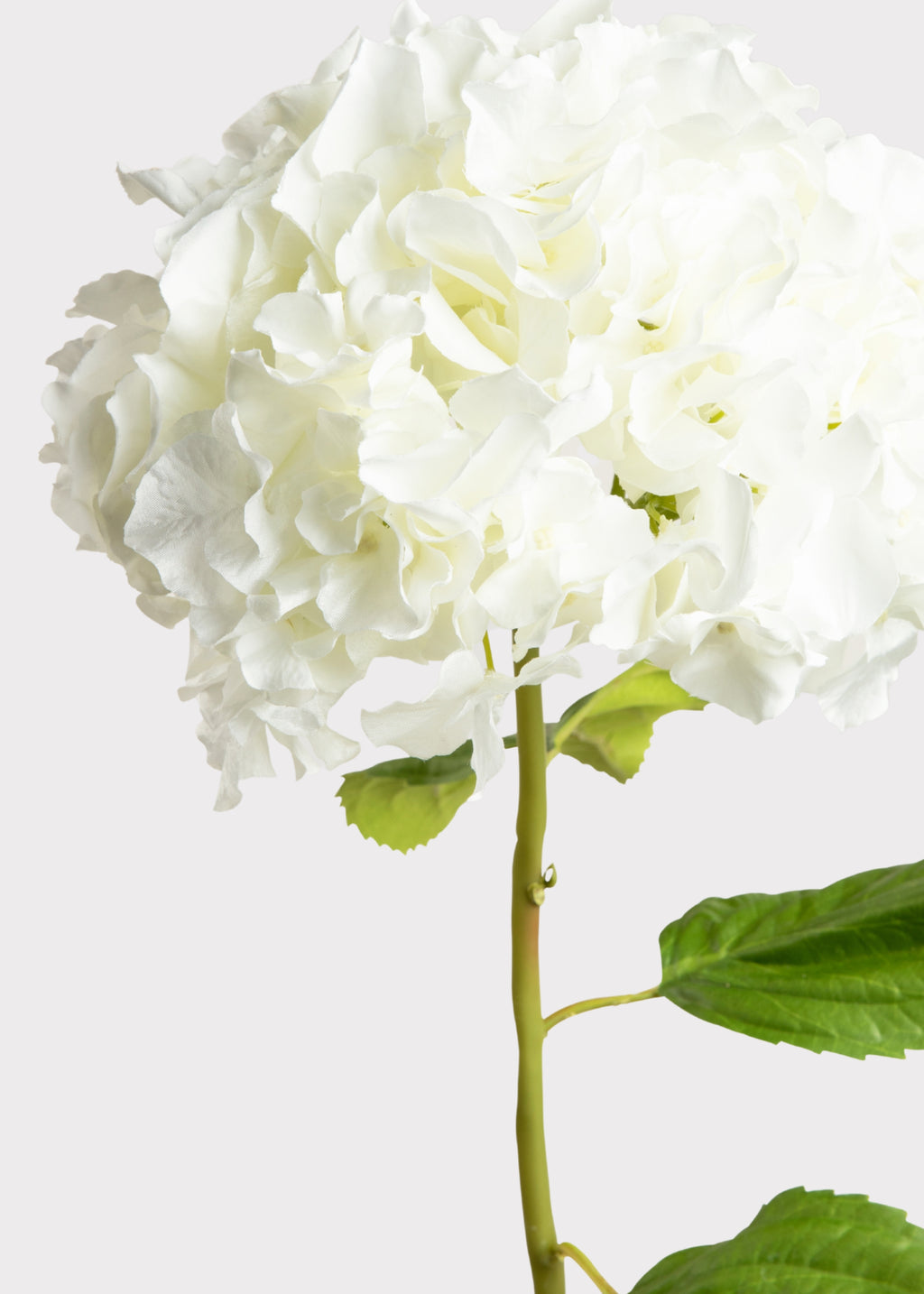 Close-up of a White Hydrangea Faux Flower