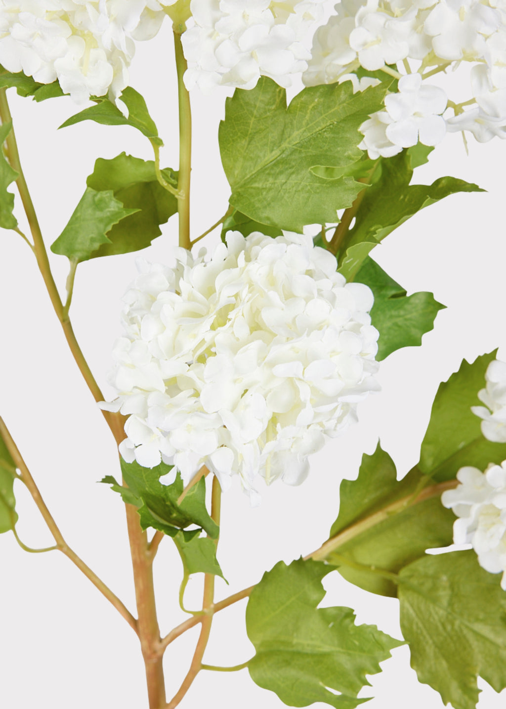 Close-up of Cream White Artificial Snowball Flowers 