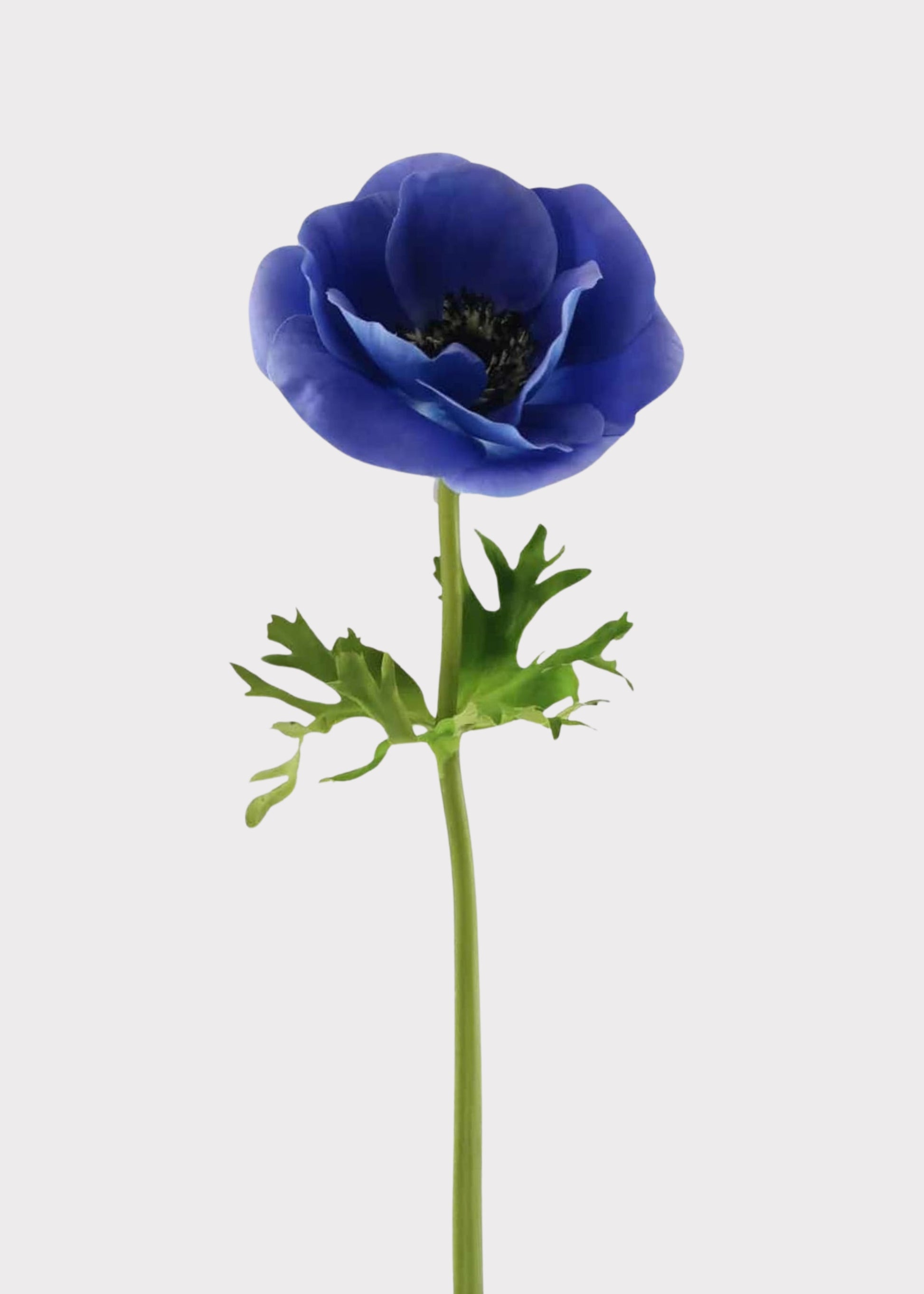 Afloral Faux Flowers Real Touch Poppy in Blue