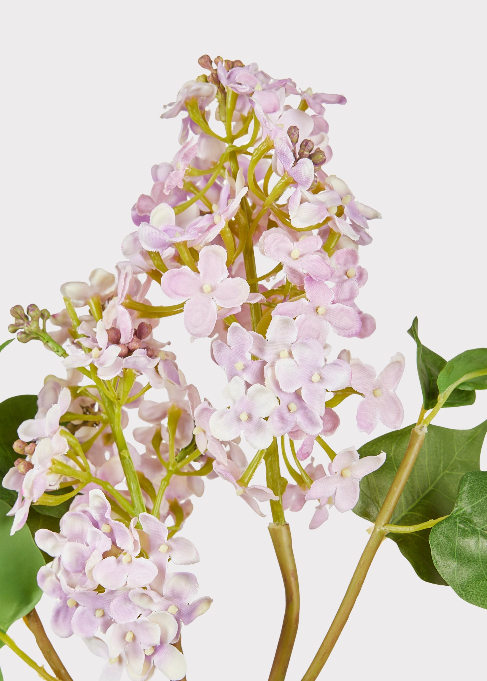 Pale Lavender Faux Lilac Flowers in Closeup View