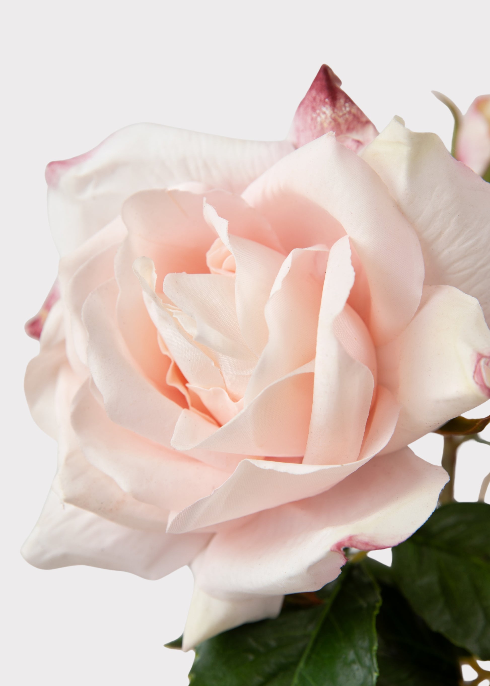 Real Touch Faux Rose in Soft Pink 