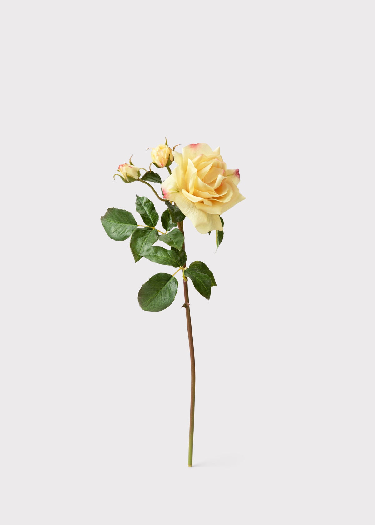 Englsih Roses Fake Soft Yellow Real Touch English Rose | Premium Faux Flowers | Afloral