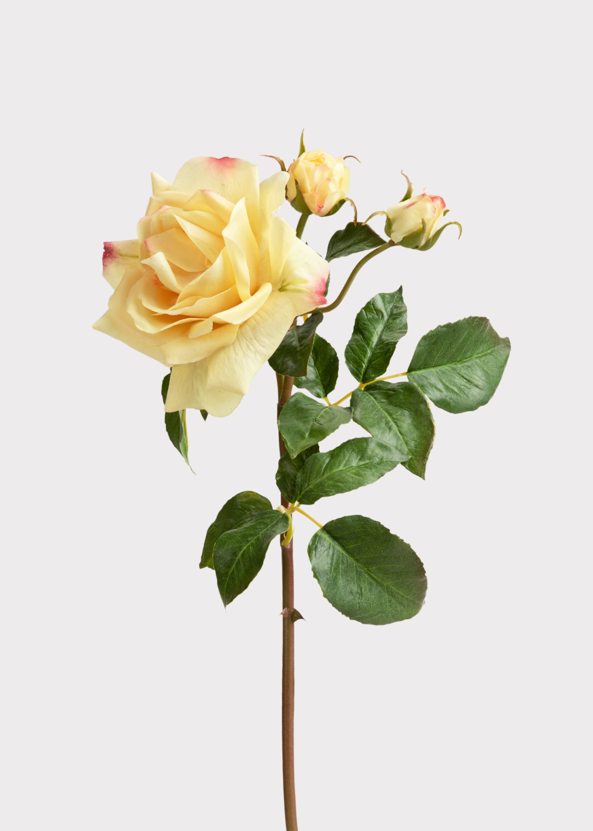 Soft Yellow Real Touch English Rose | Premium Faux Flowers | Afloral