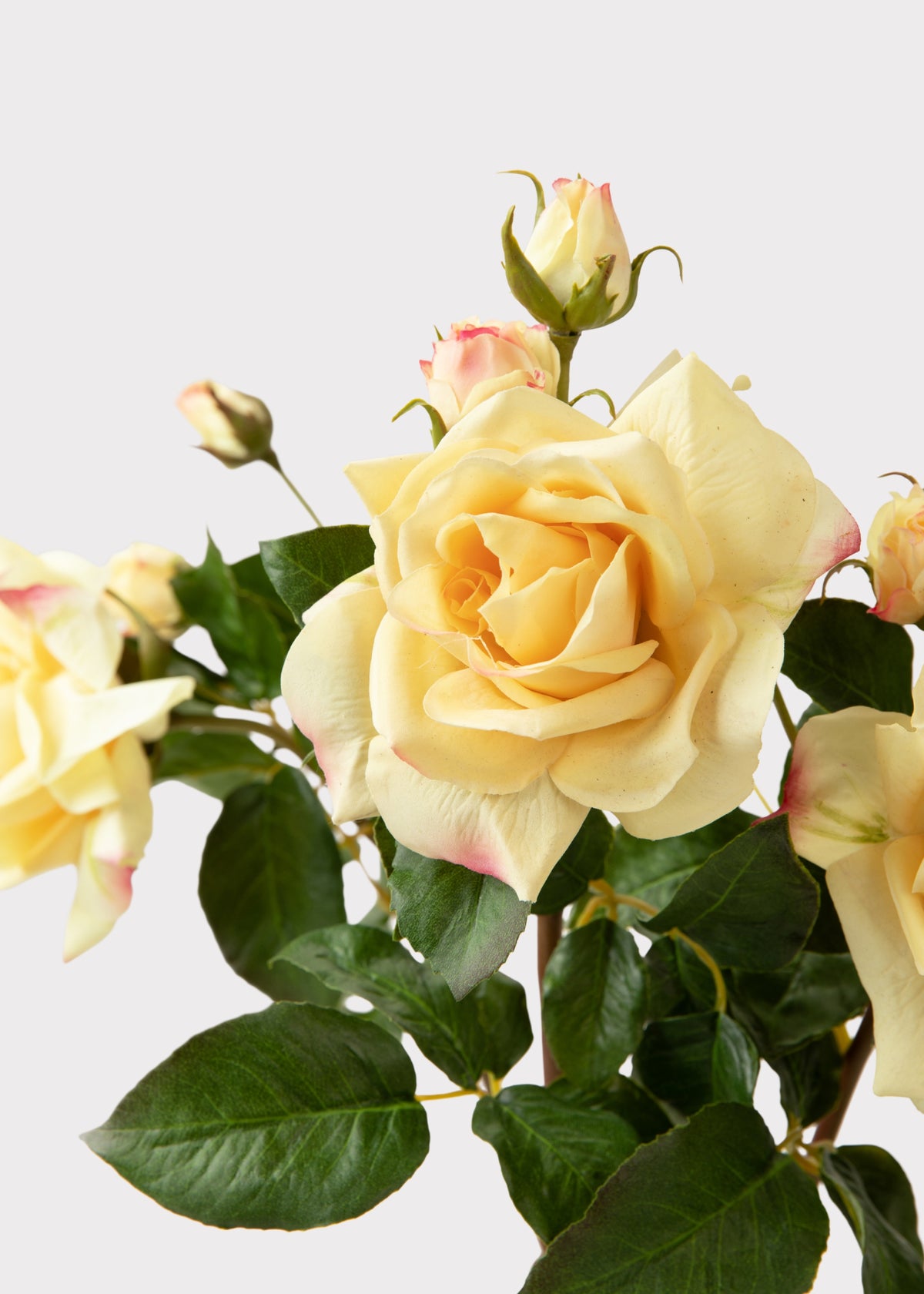 Yellow Realistic Roses Soft Yellow Real Touch English Rose | Premium Faux Flowers | Afloral