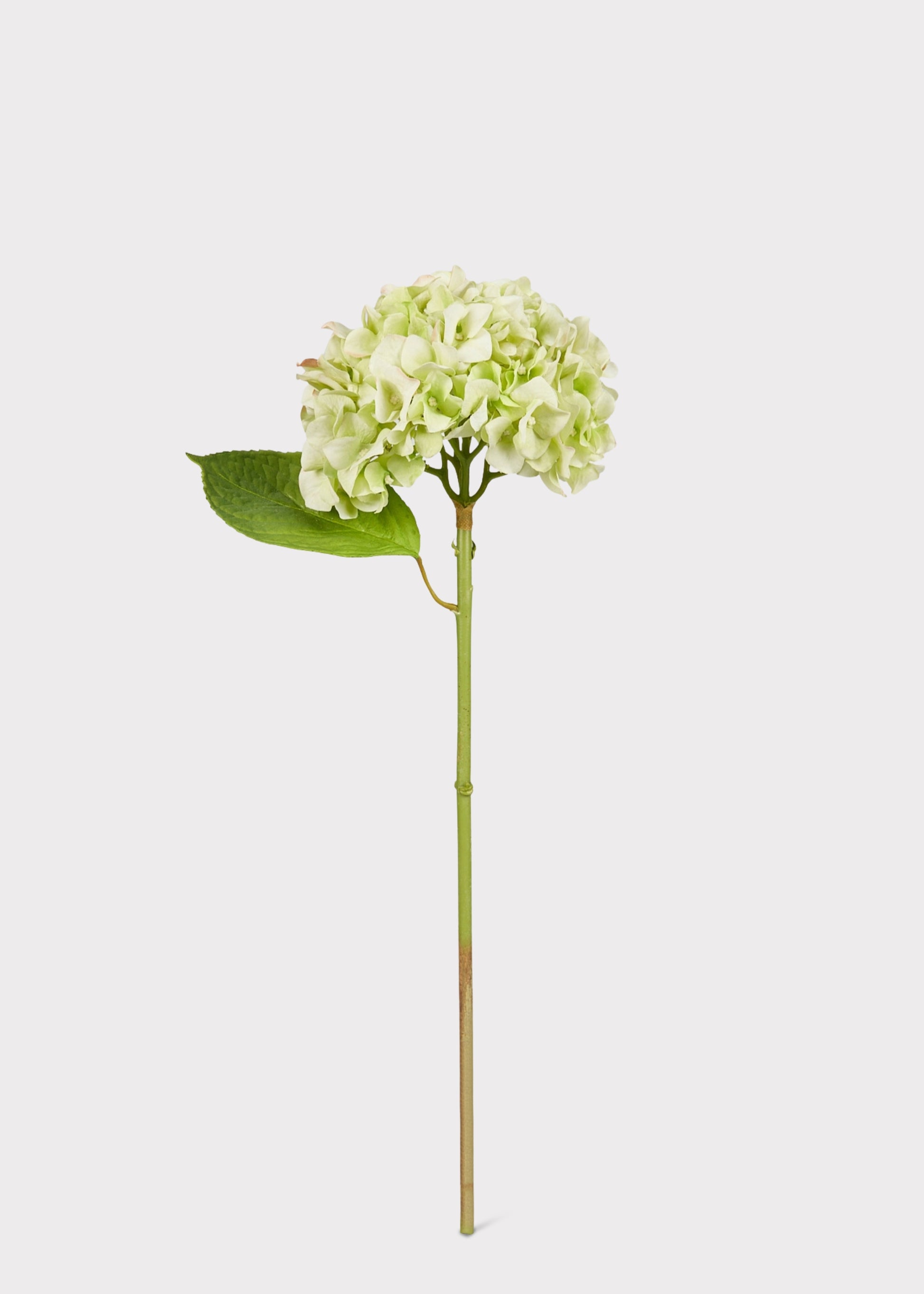 green artificial hydrangea stem