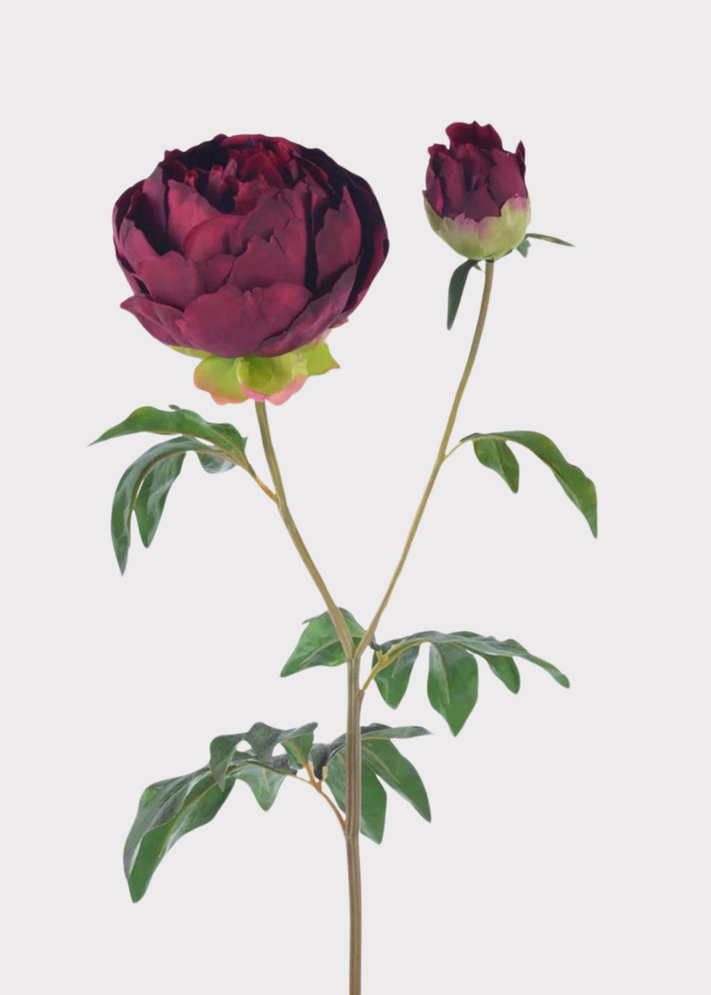 Real Touch Peony in Burgundy