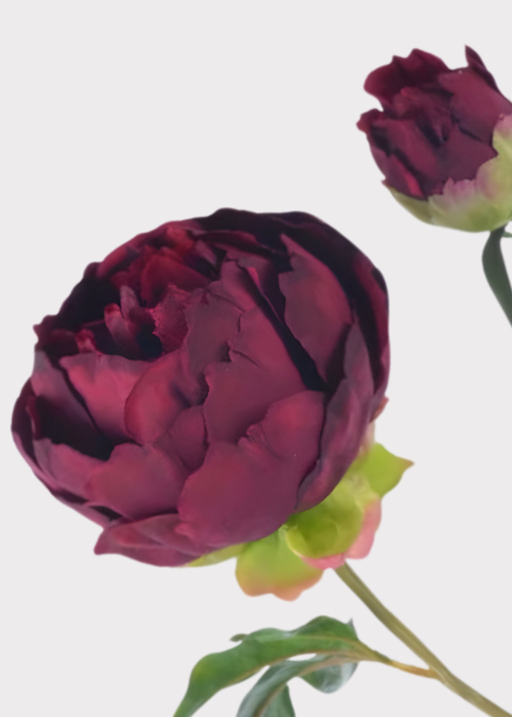 Close-up of a dark purple artificial peony
