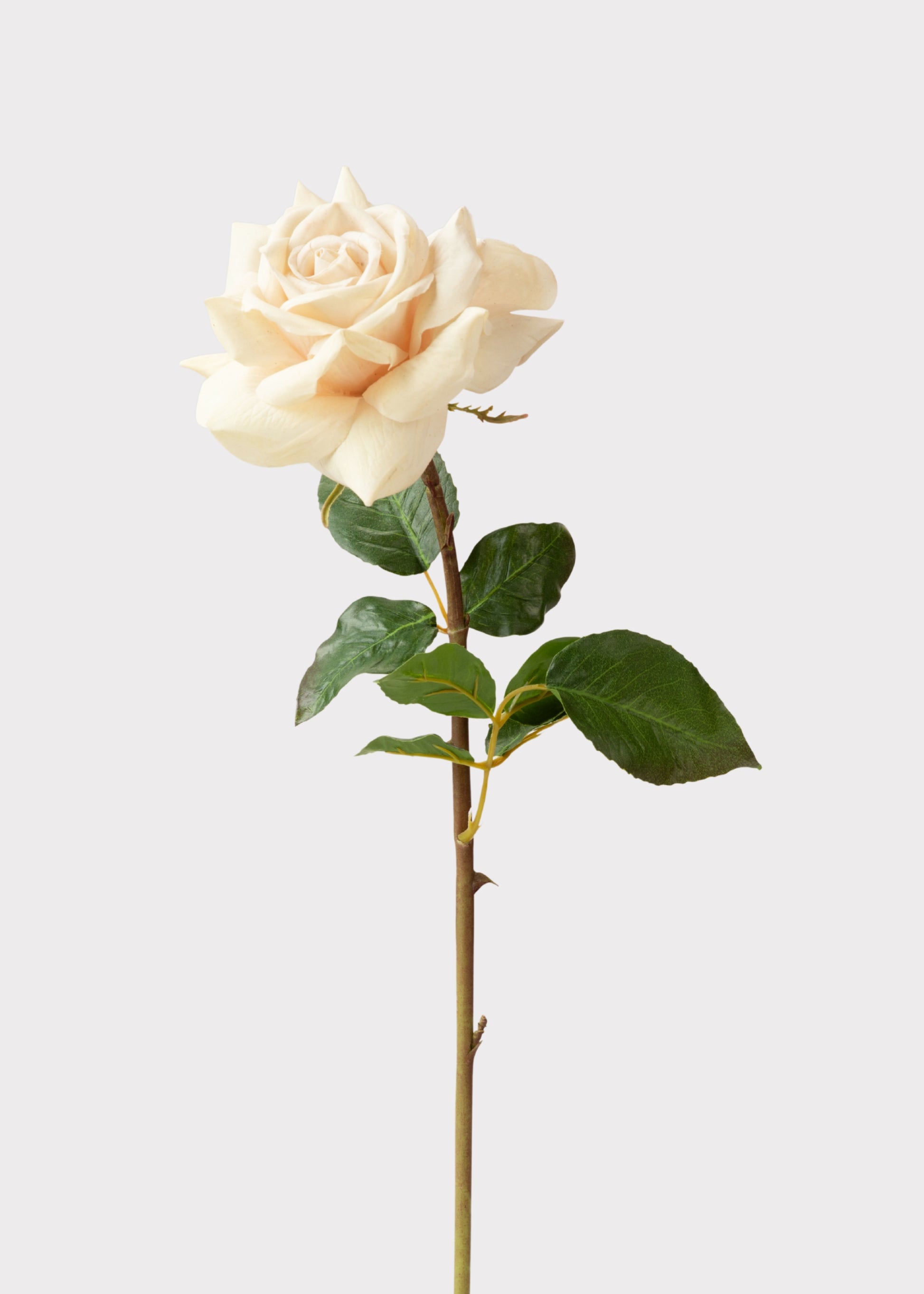 Real Touch Beige Rose