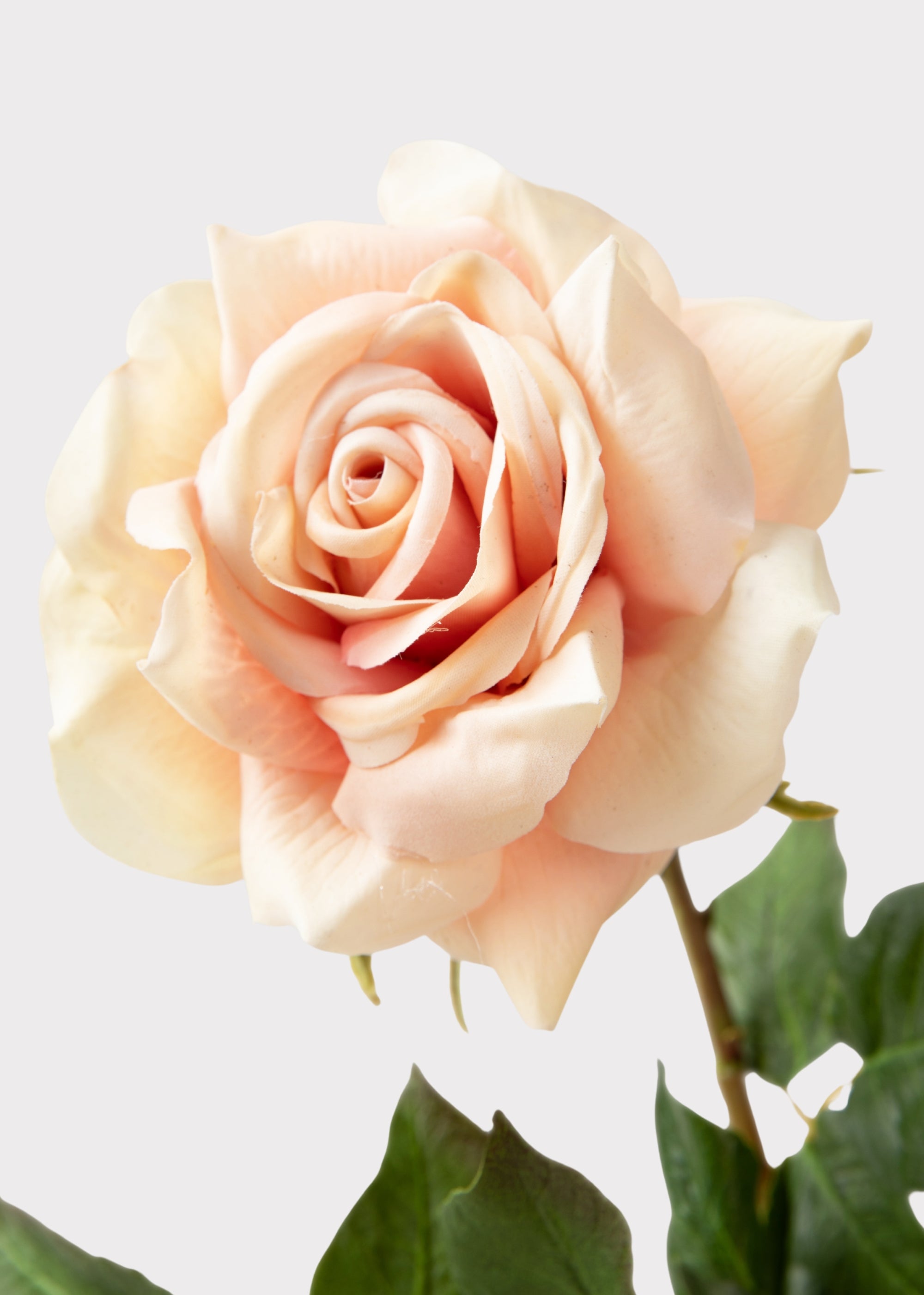 Mauve Real Touch Duchess Rose | Faux Wedding Flowers | Afloral