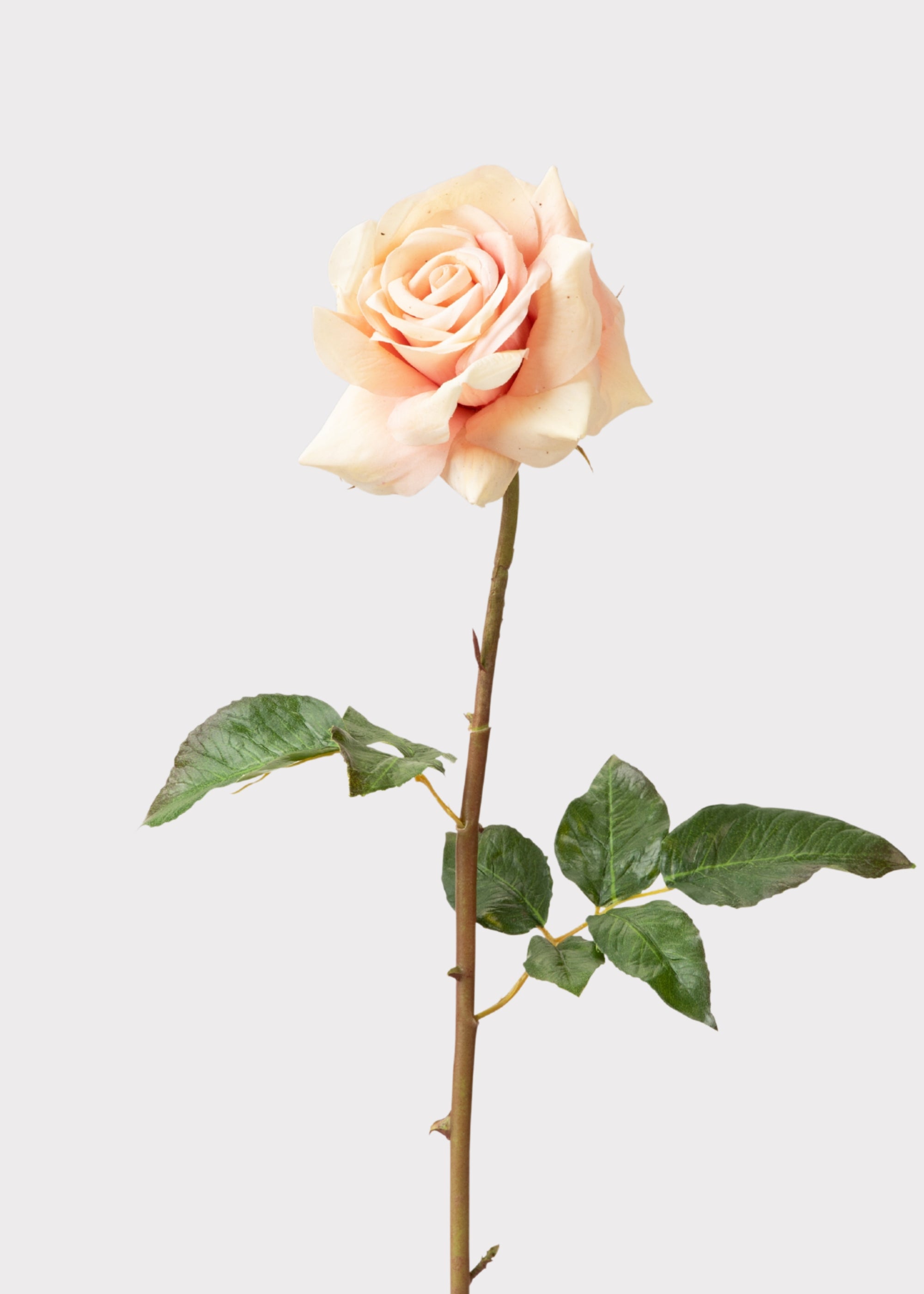 Mauve Real Touch Duchess Rose | Faux Wedding Flowers | Afloral