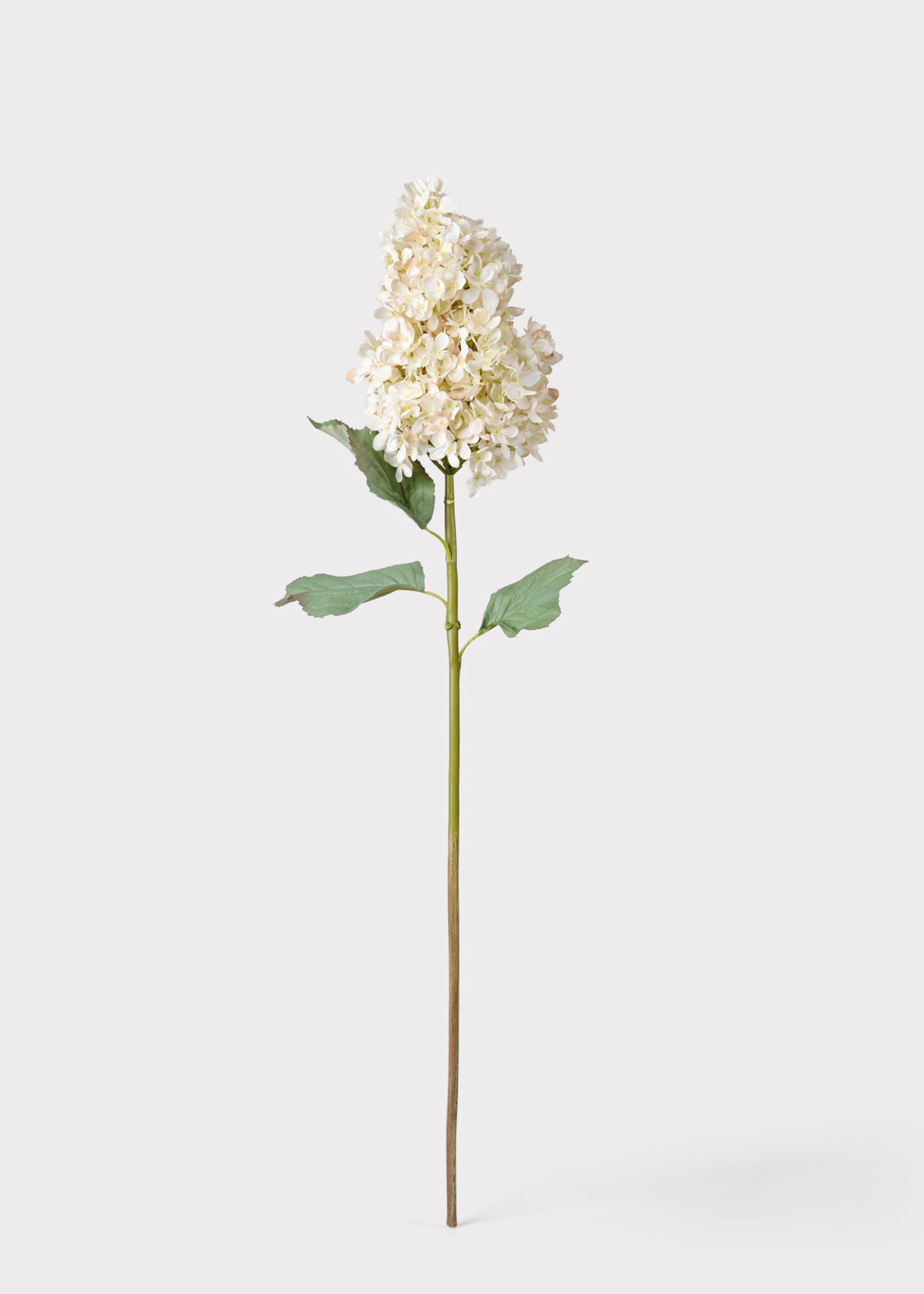 Luxe Faux Flowers Dried Look Cone Hydrangea in Beige with Hint of Blush