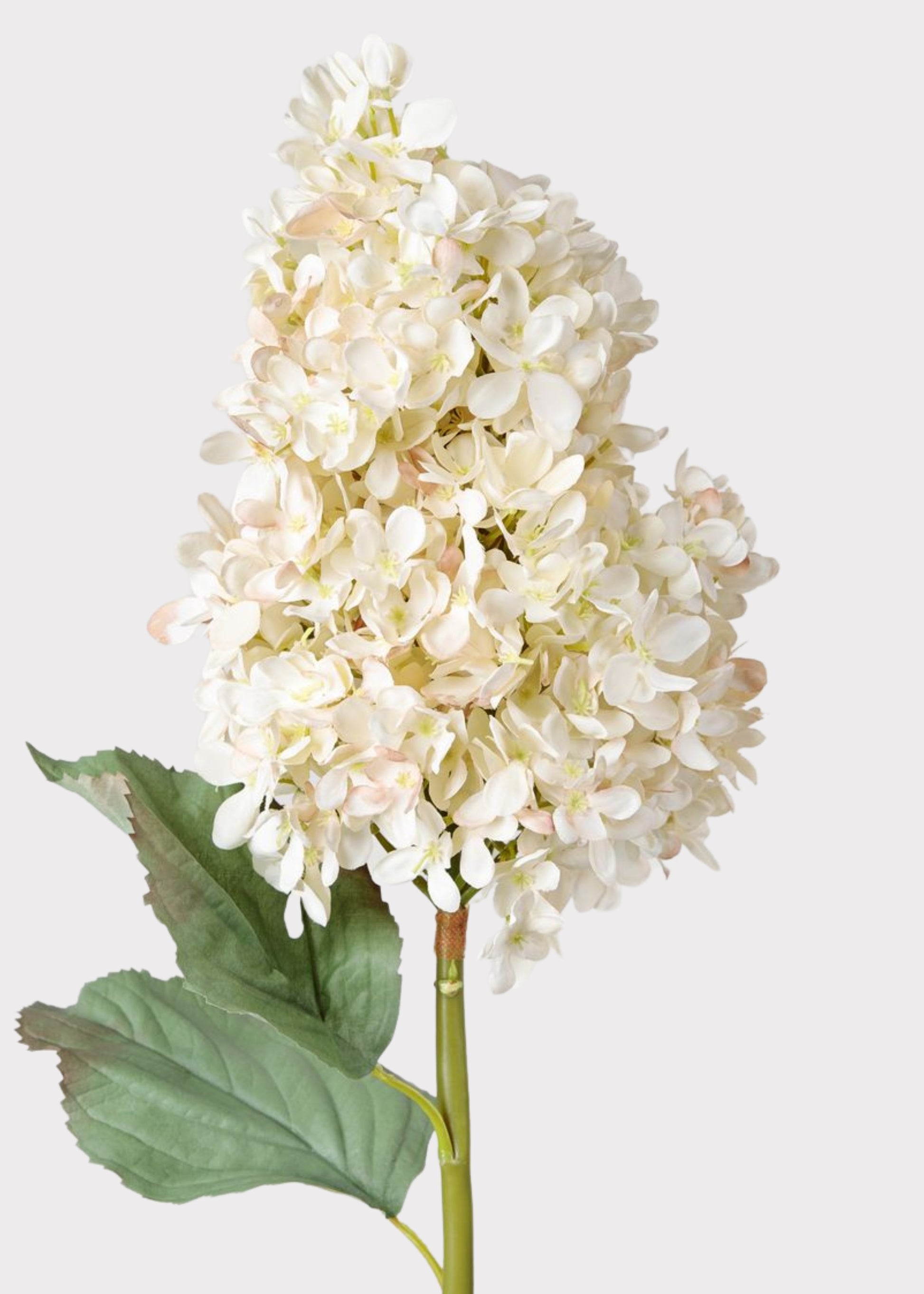 Premium Faux Flowers Afloral Cone Hydrangea Stem in Parchment