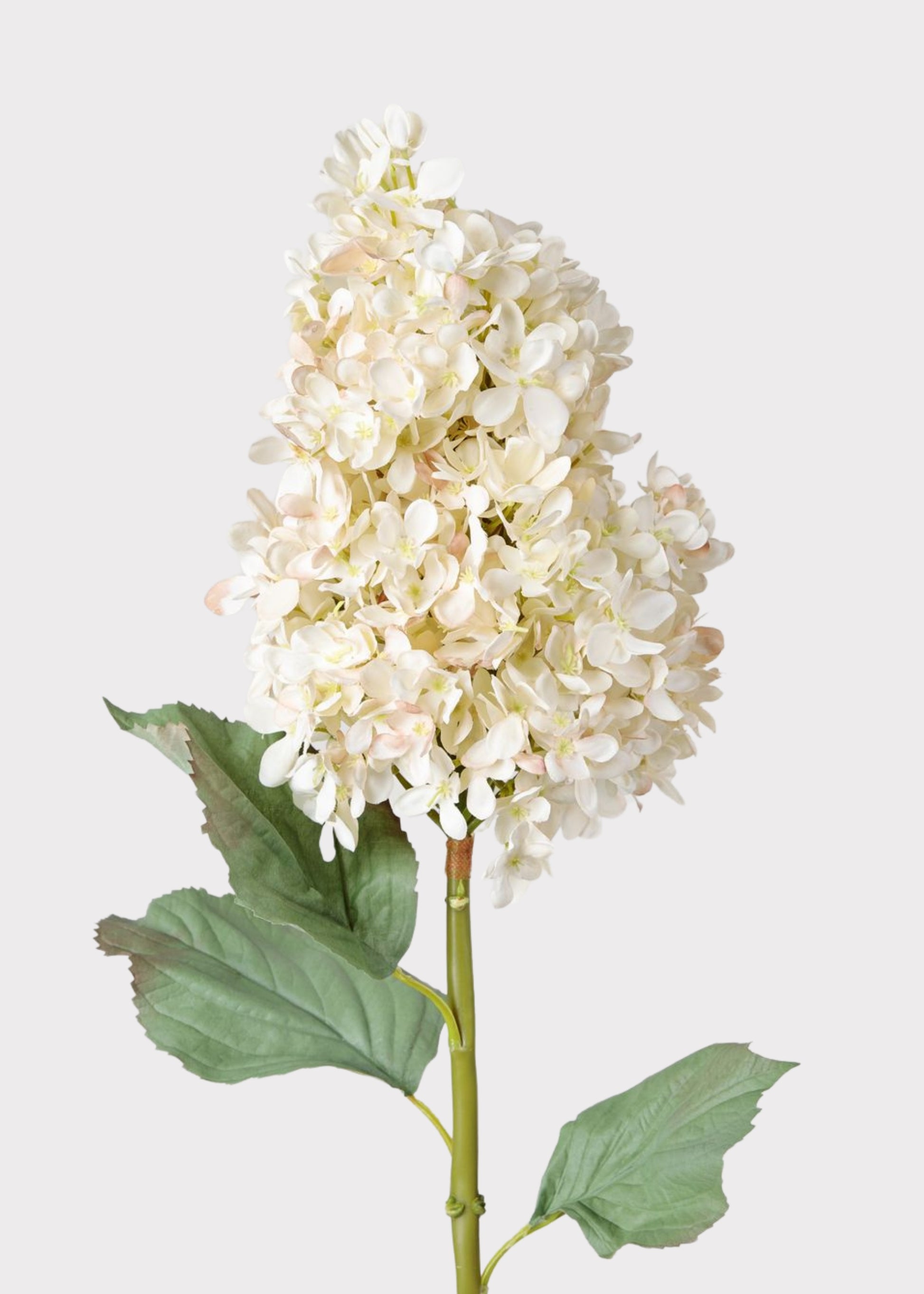 Premium Faux Flowers Afloral Cone Hydrangea Stem in Parchment