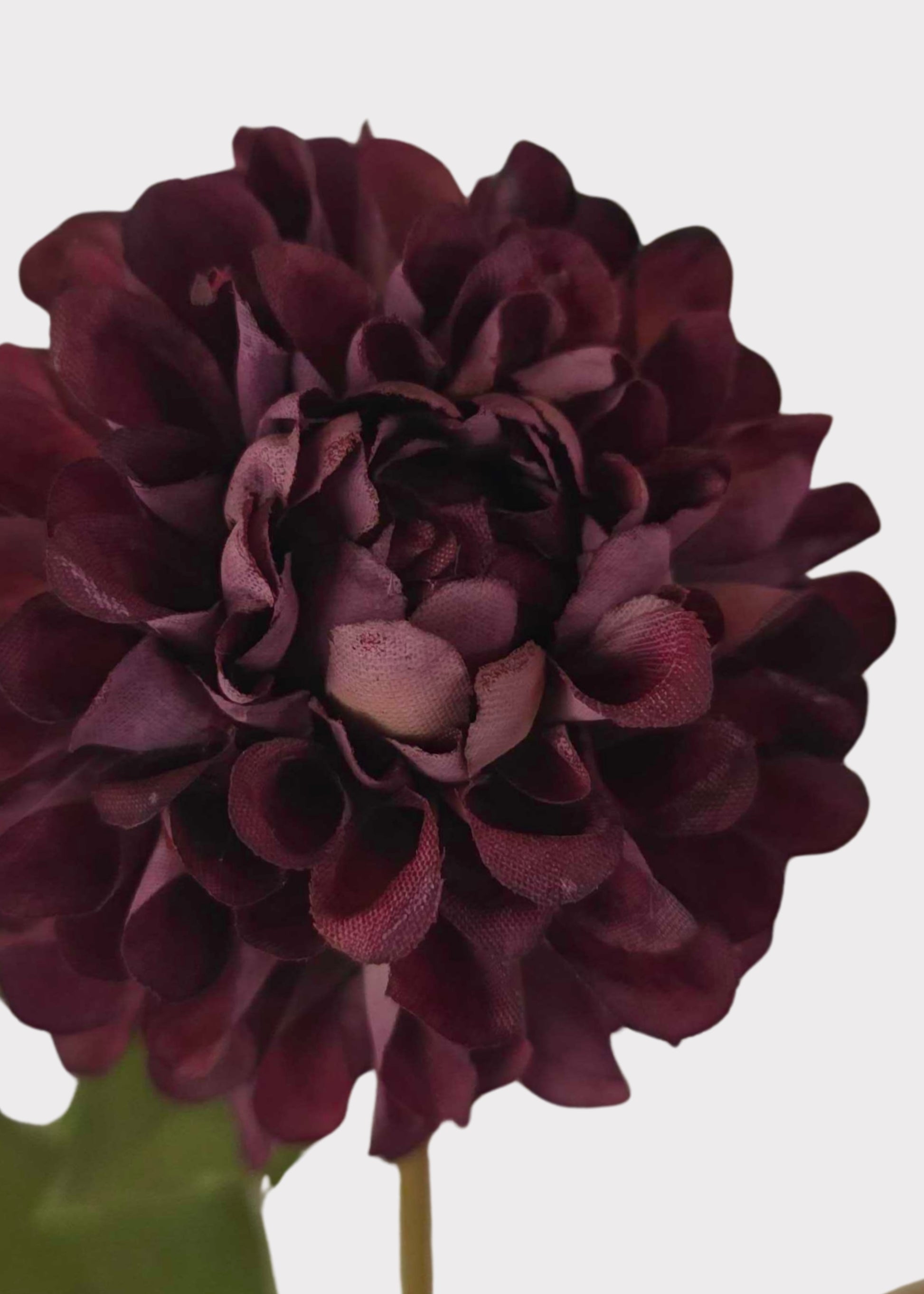 Close-up of an Artificial Dahlia 