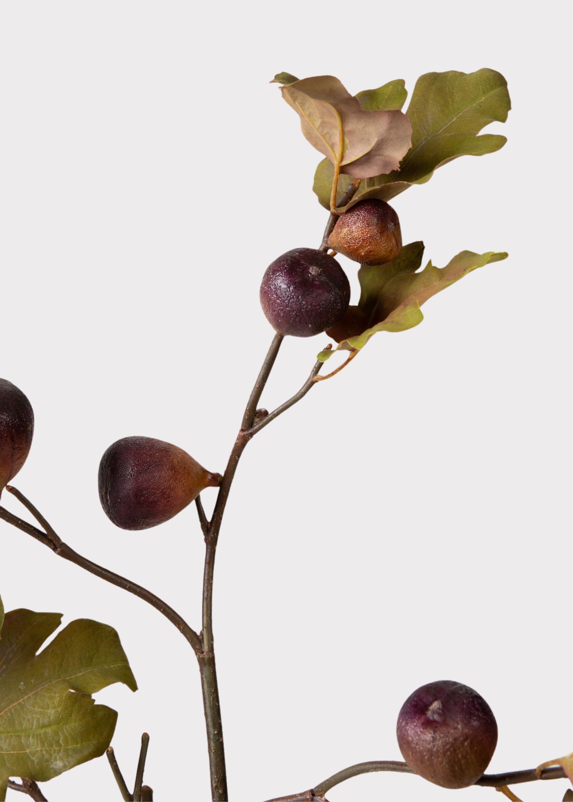 Close-up of Faux Fig Branch