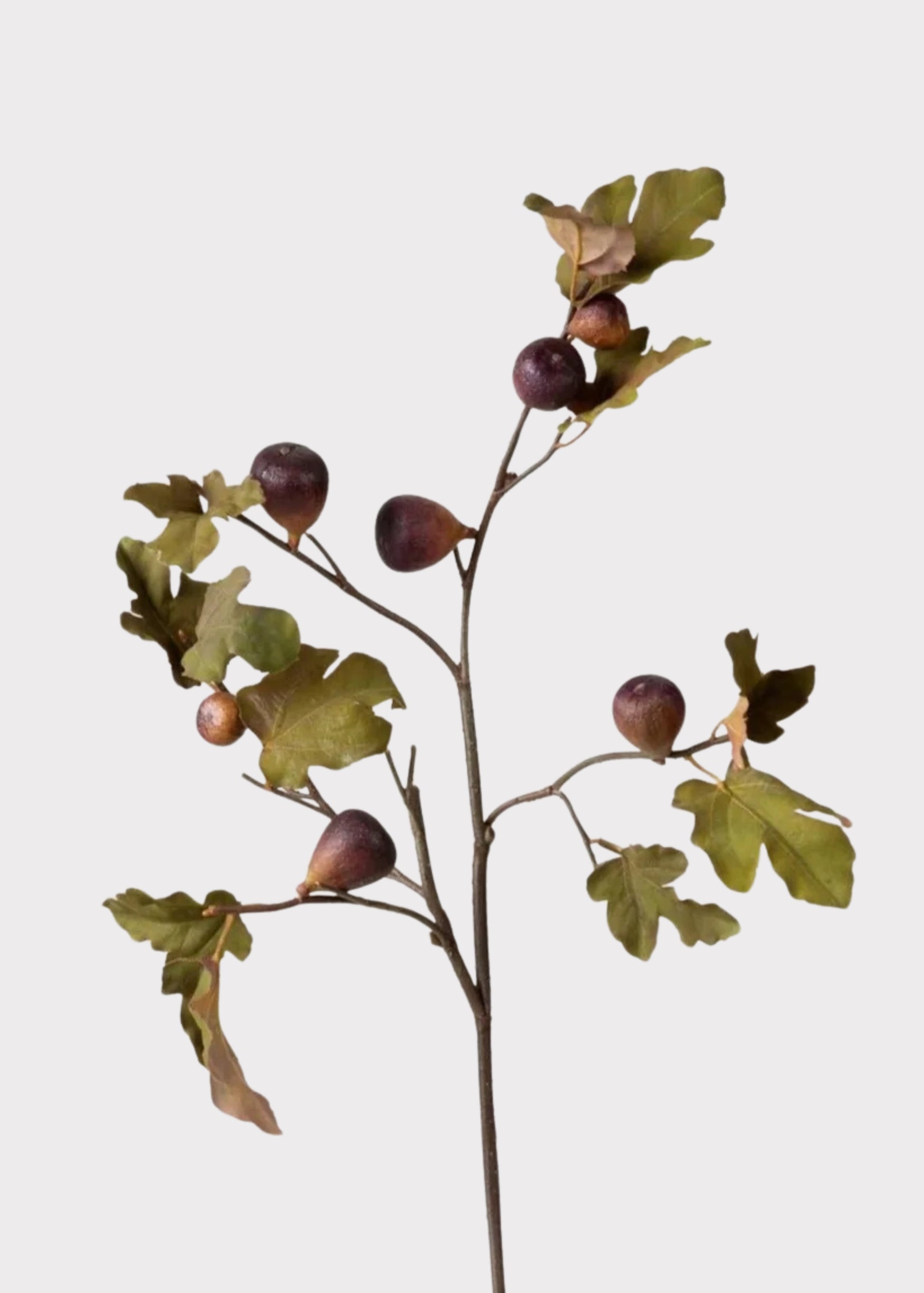 Faux Fig Branch