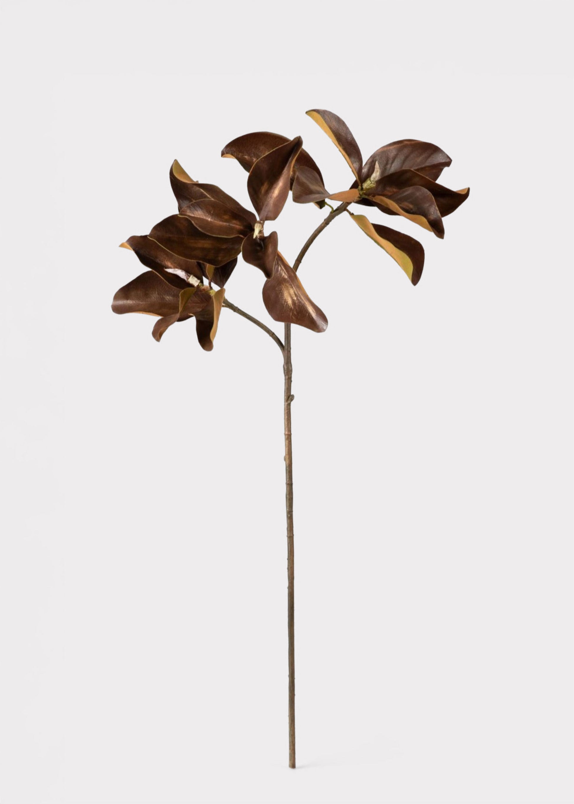 Artificial Magnolia Leaf in Brown