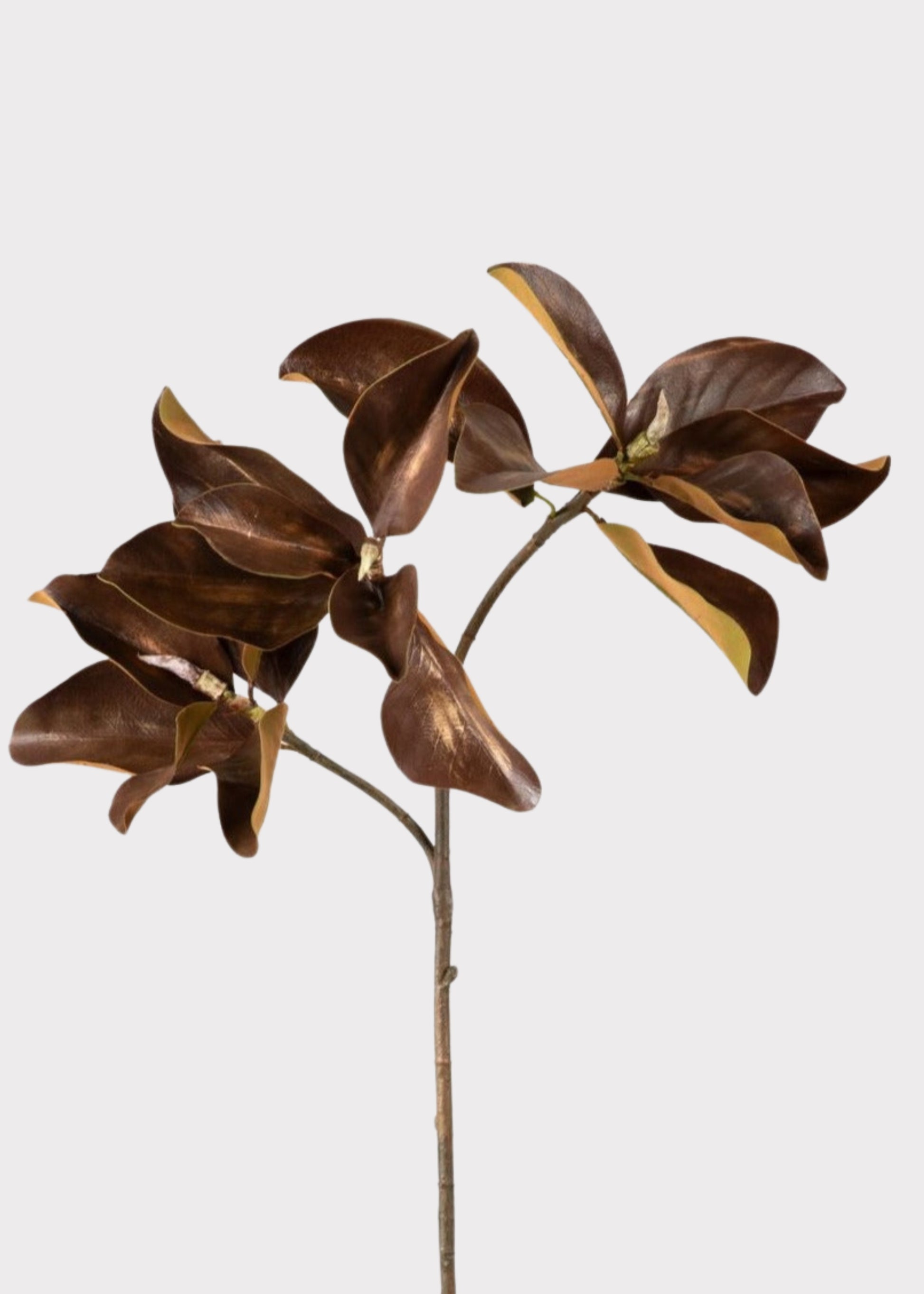 Warm Brown Fake Magnolia Leaf Branch - 38.5"
