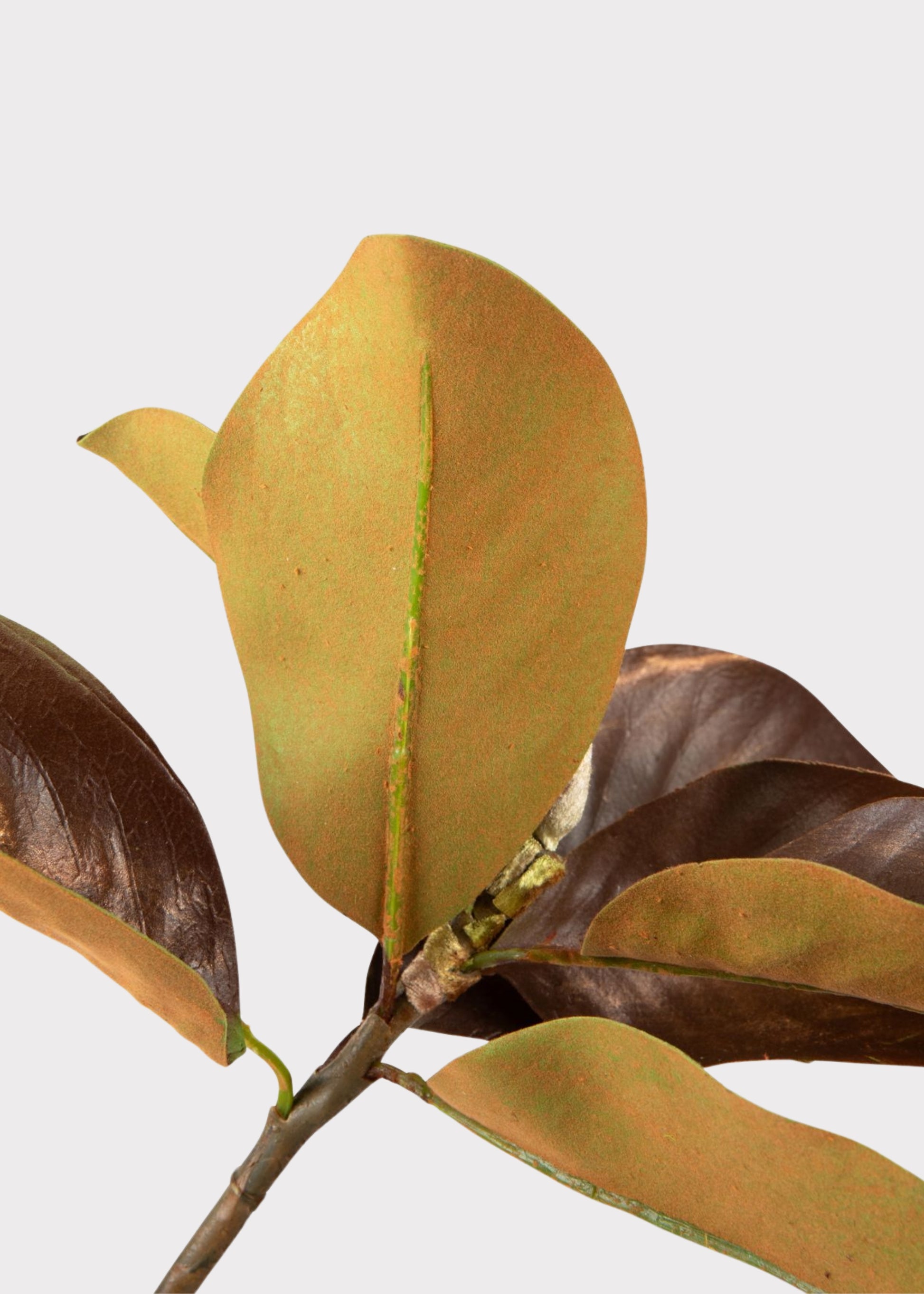 Faux Brown Magnolia Leaves