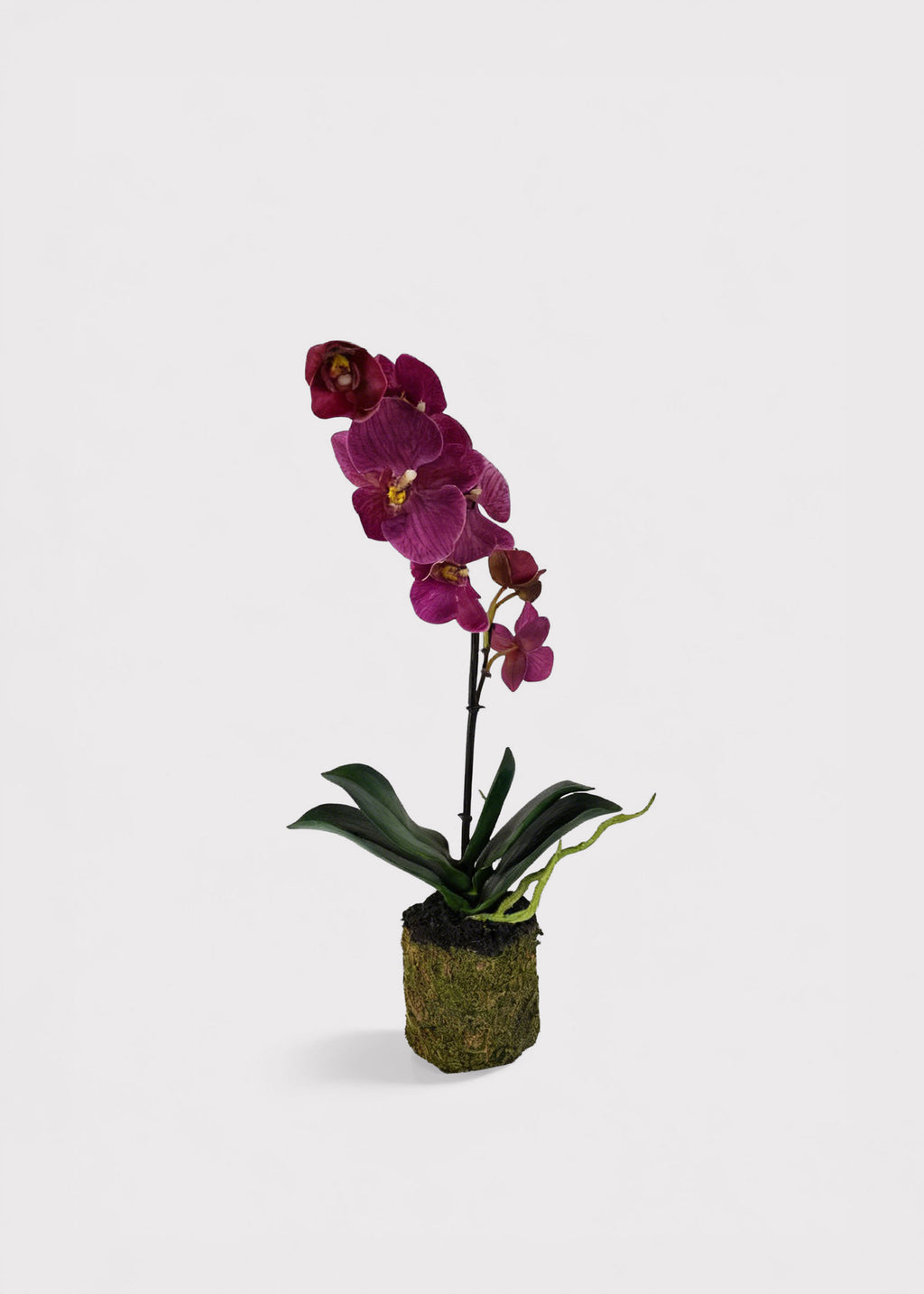 Artificial Phalaenopsis Orchid Drop-In Plant in Fuchsia 