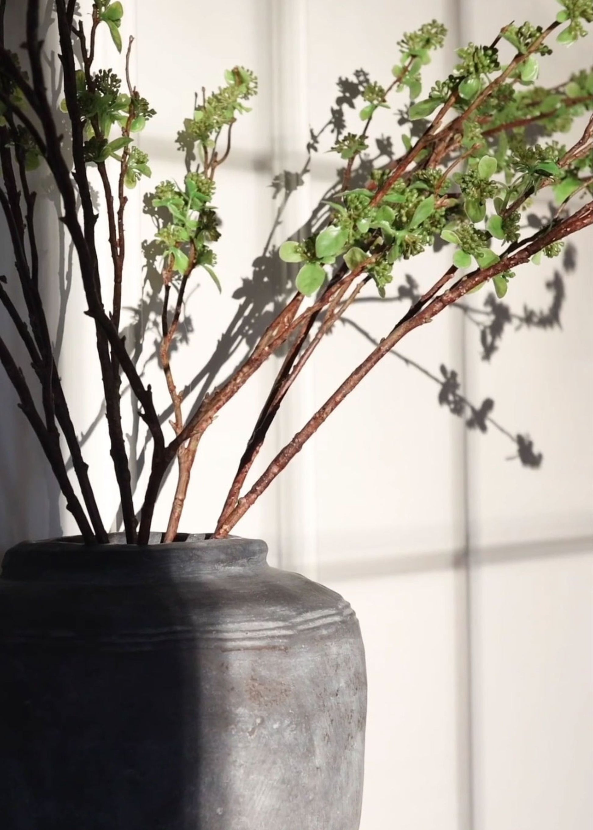 close-up of green budding branches